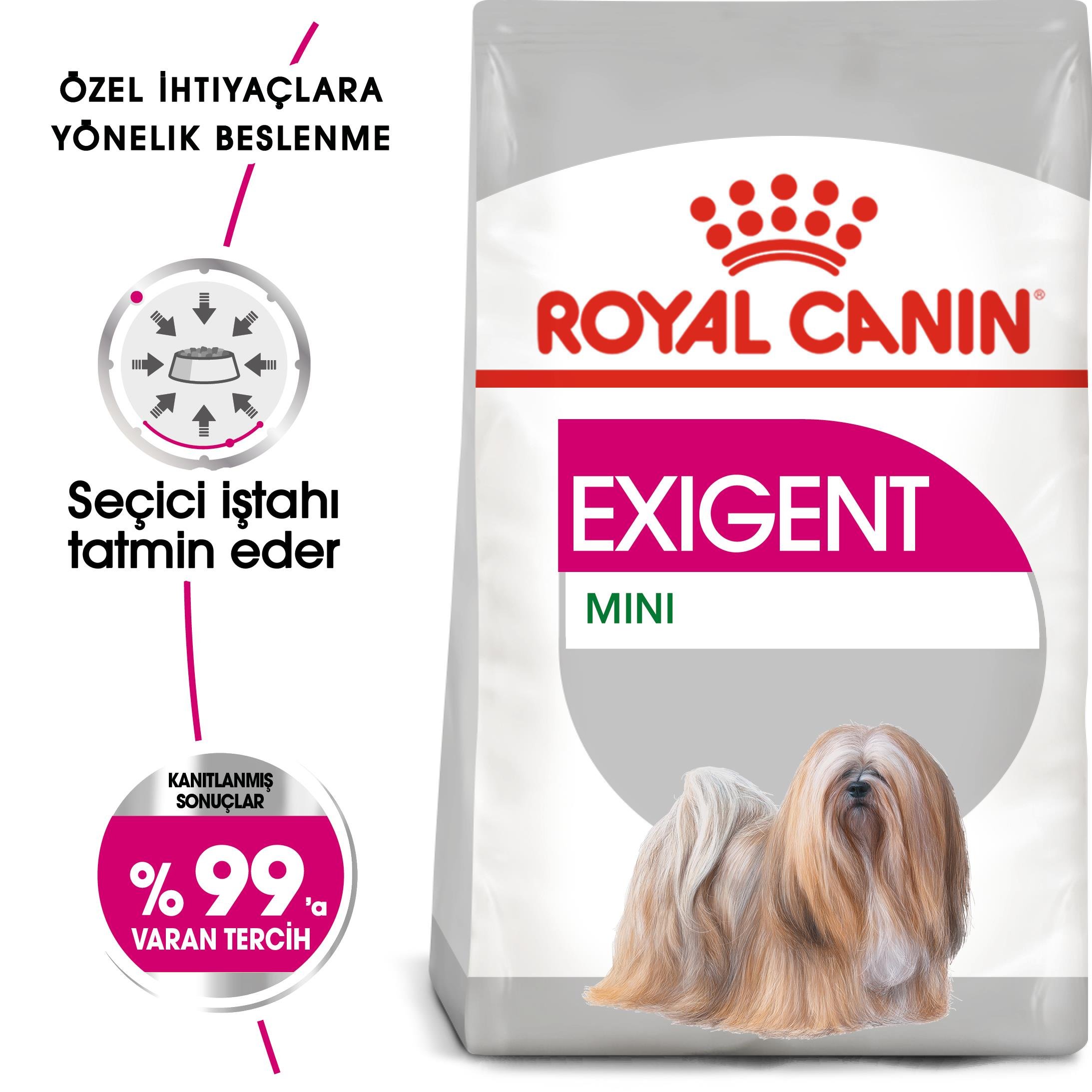 Royal Canin CCN Mini Exigent Küçük Irk Yetişkin Köpek Maması 3 Kg