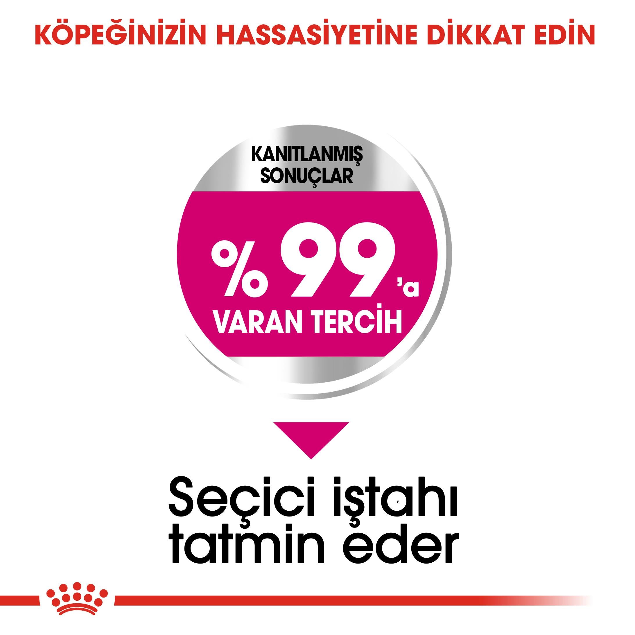 Royal Canin CCN Mini Exigent Küçük Irk Yetişkin Köpek Maması 3 Kg