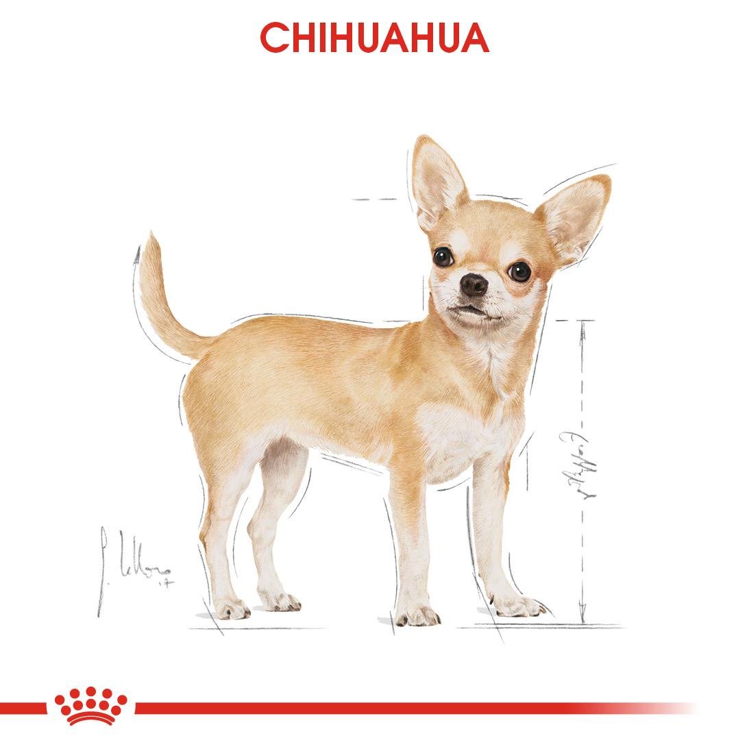 Royal Canin Chihuahua Yetişkin Köpek Yaş Maması 85 Gr