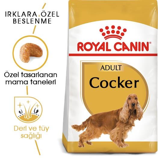 Royal Canin Cocker Adult Yetişkin Köpek Maması 3 Kg