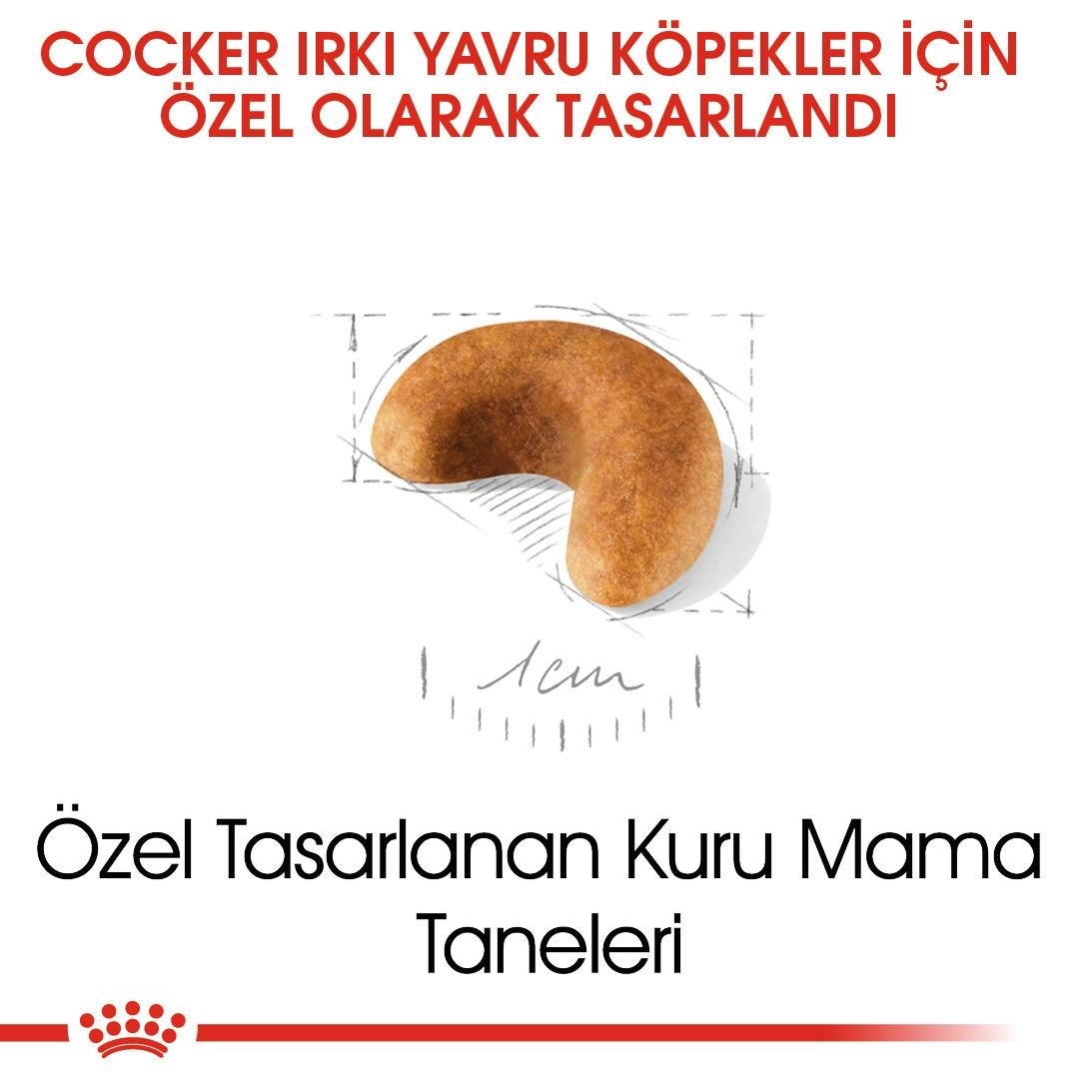 Royal Canin Cocker Puppy Yavru Köpek Maması 3 Kg