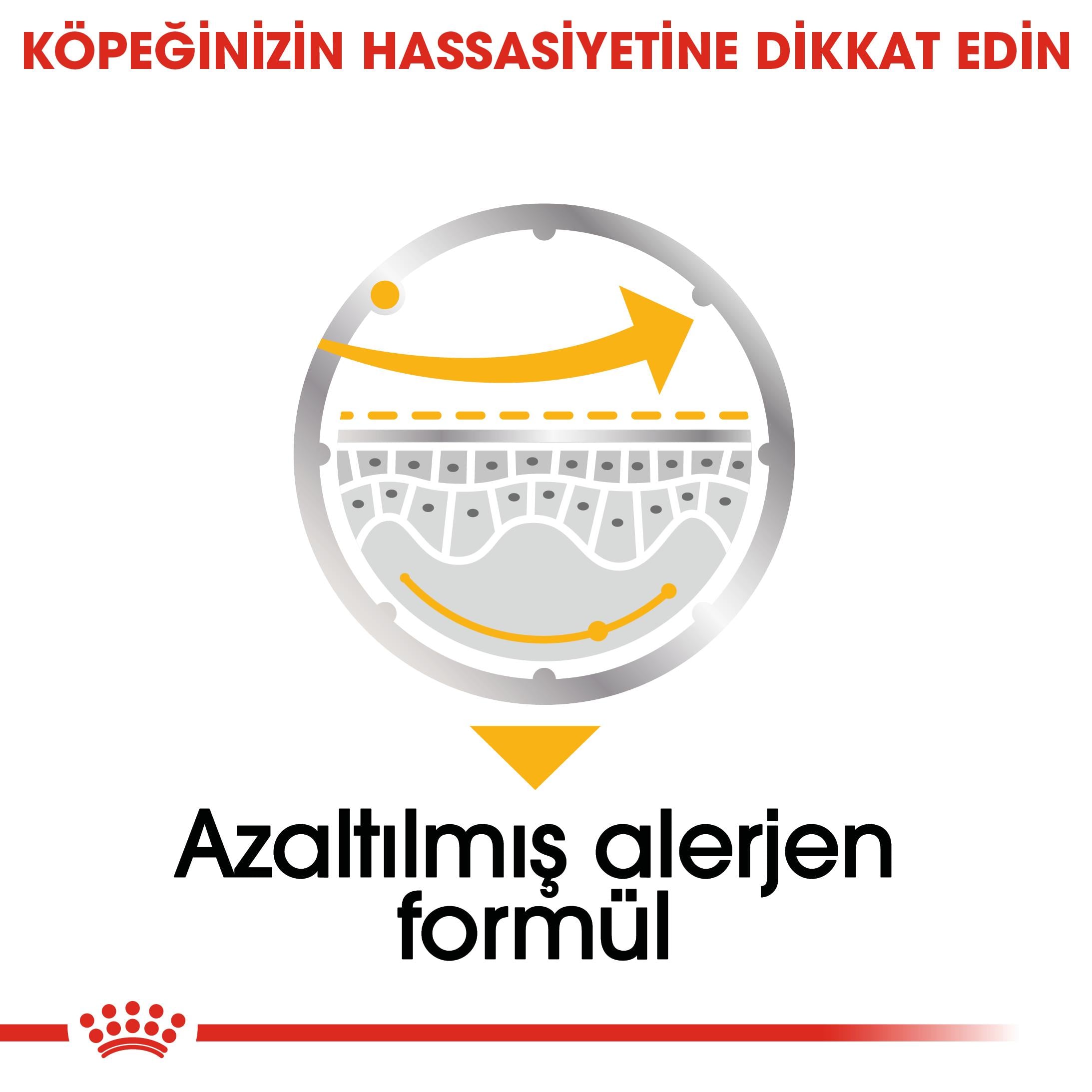 Royal Canin Dermacomfort Loaf Pouch Deri Hassasiyetli Yetişkin Köpek Yaş Maması 85 Gr