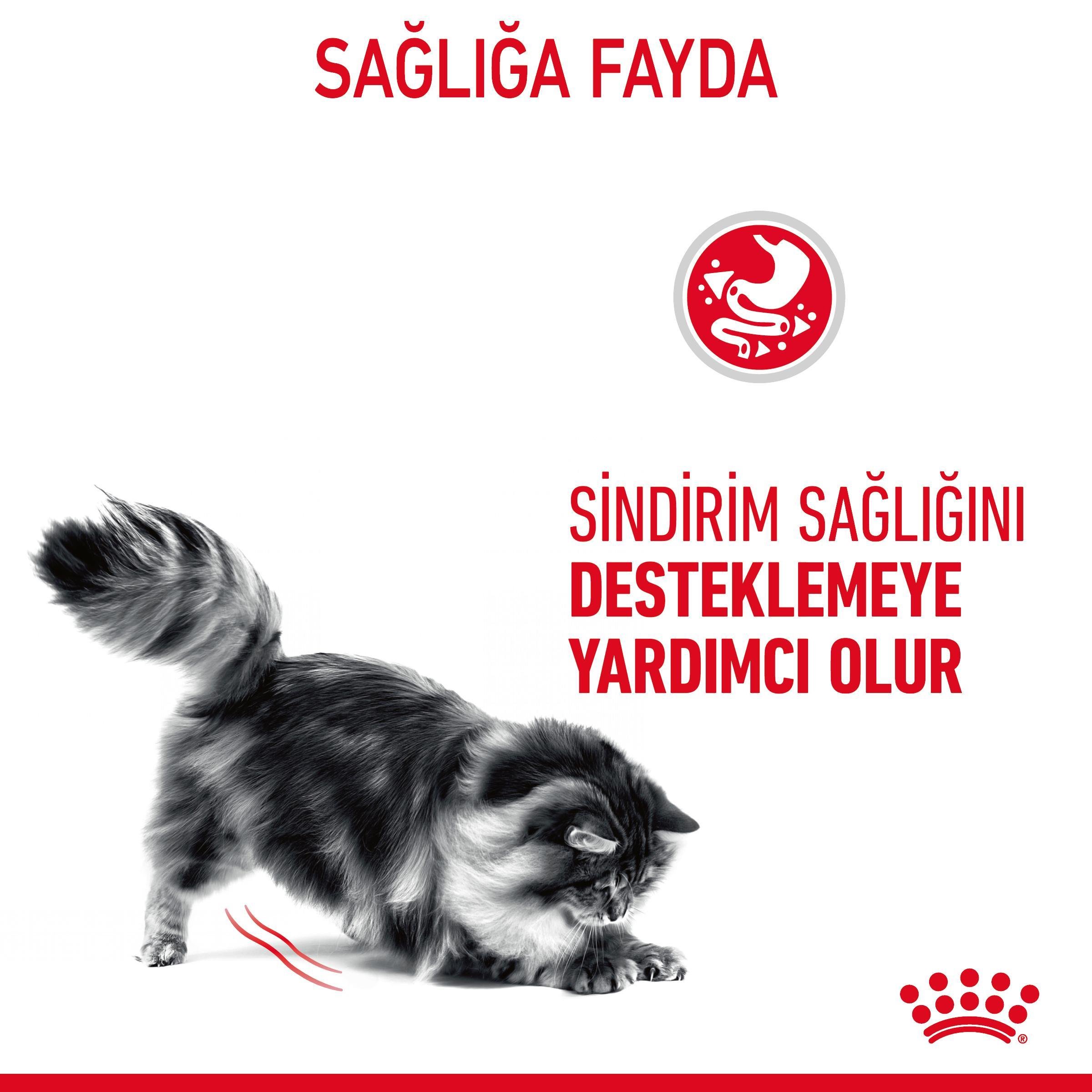 Royal Canin Digestive Care Sensitive Gravy Pouch Hassas Kediler İçin Yaş Mama 85 Gr