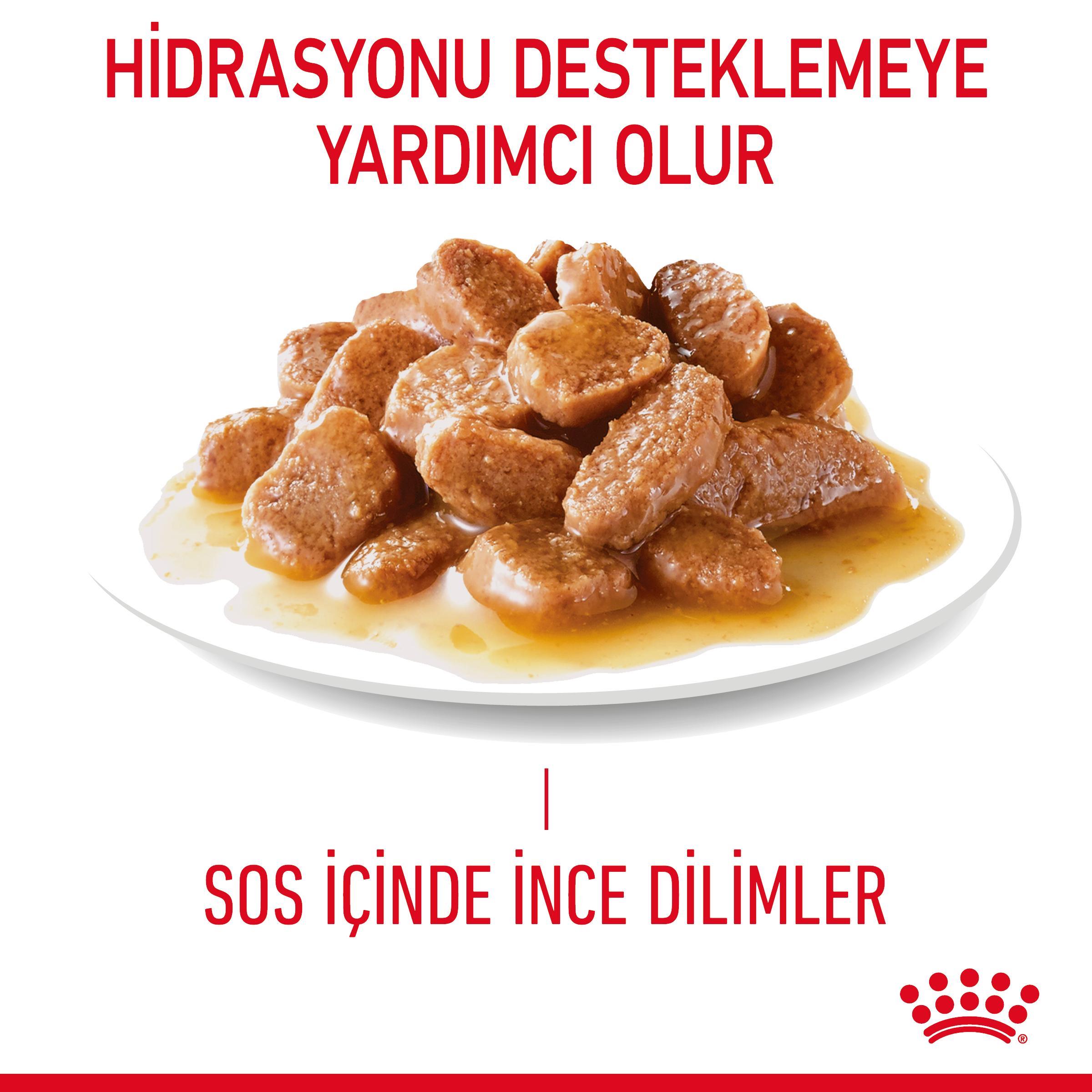 Royal Canin Digestive Care Sensitive Gravy Pouch Hassas Kediler İçin Yaş Mama 85 Gr