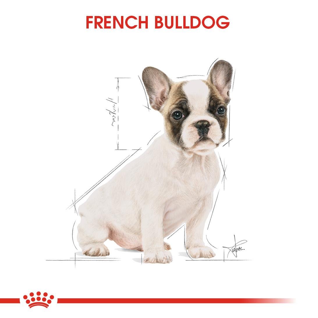 Royal Canin French Bulldog Puppy Yavru Köpek Maması 3 Kg