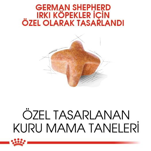 Royal Canin German Shepherd Adult Yetişkin Köpek Maması 11 Kg
