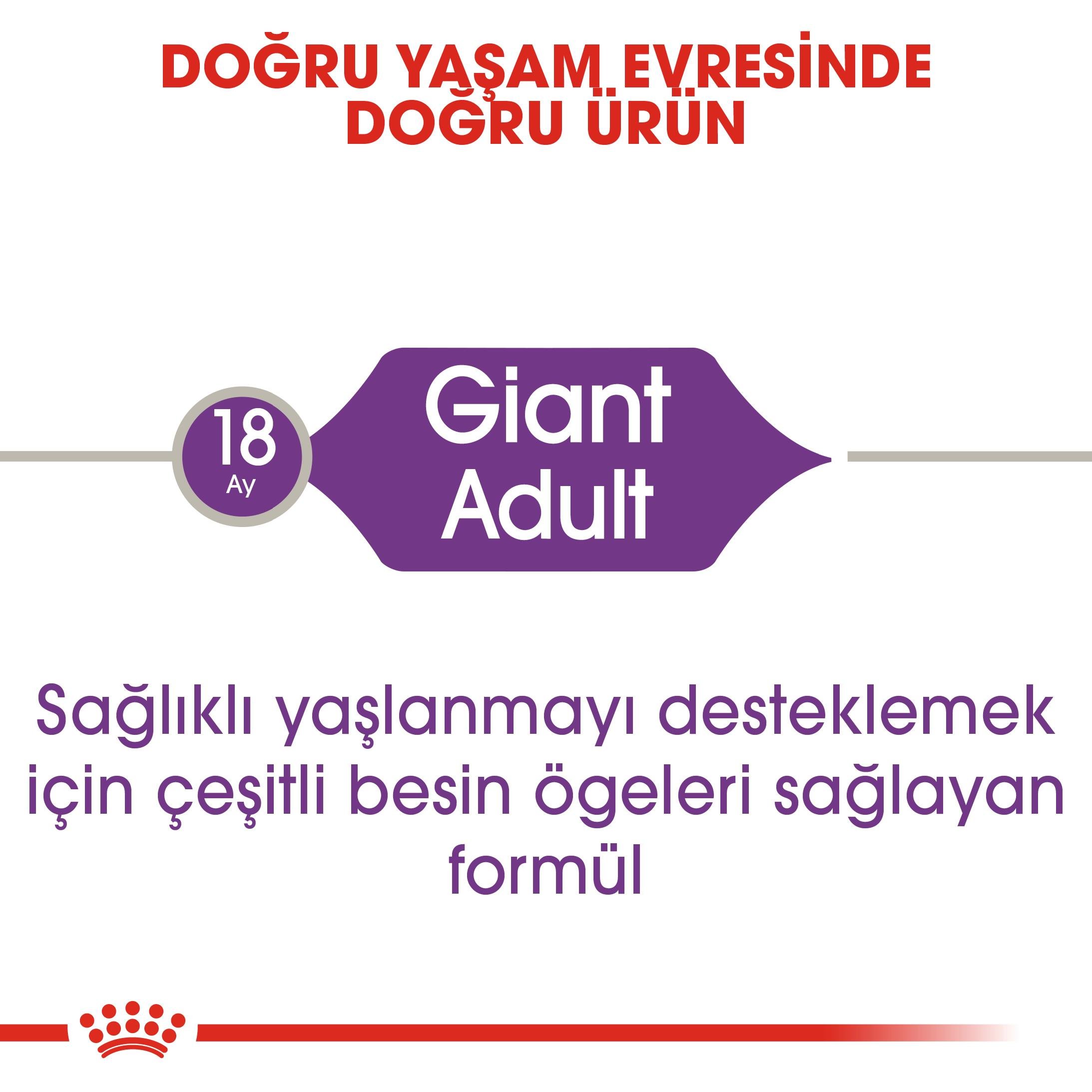 Royal Canin Giant Adult Dev Irk Yetişkin Köpek Maması 15 Kg