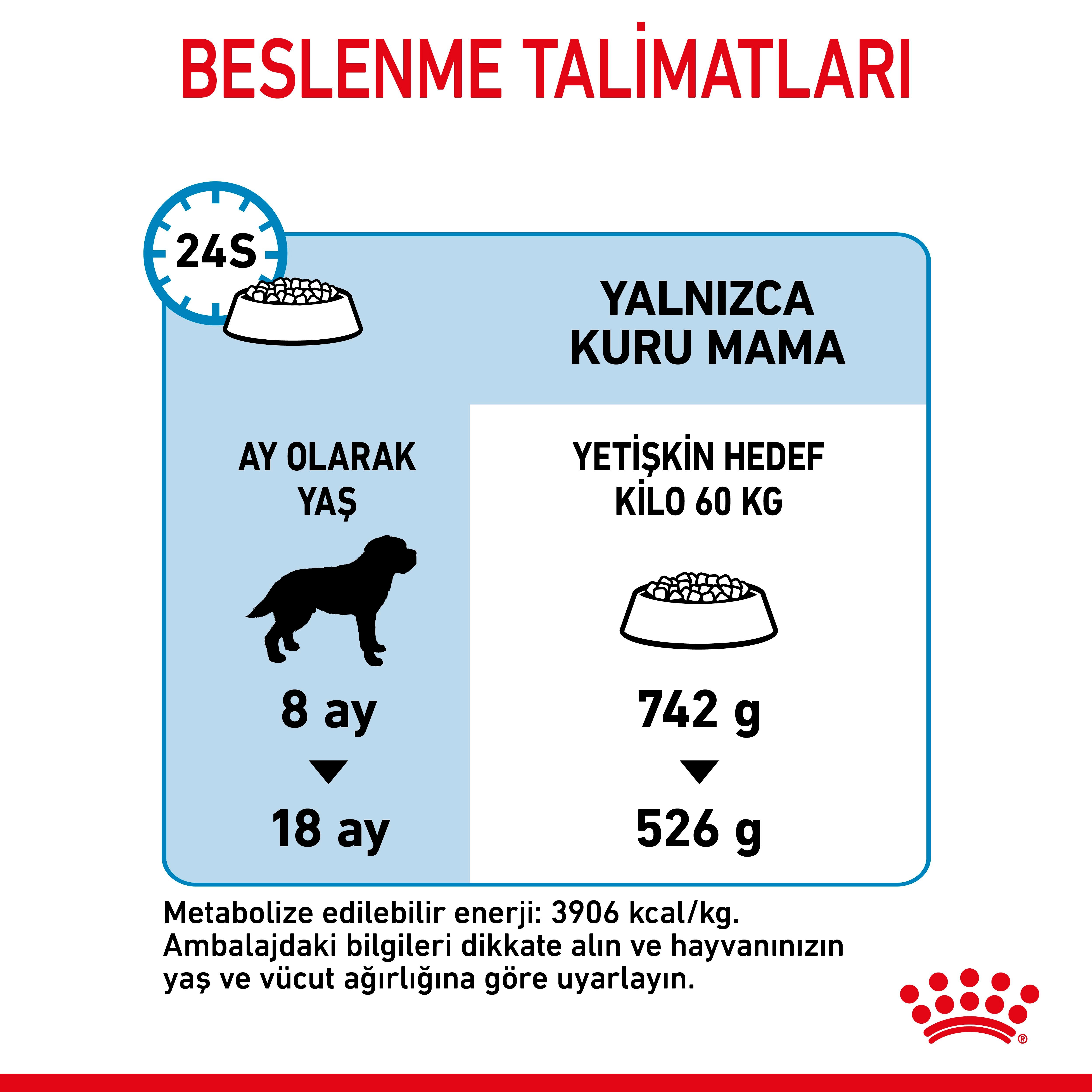Royal Canin Giant Junior Dev Irk Yavru Köpek Maması 15 Kg