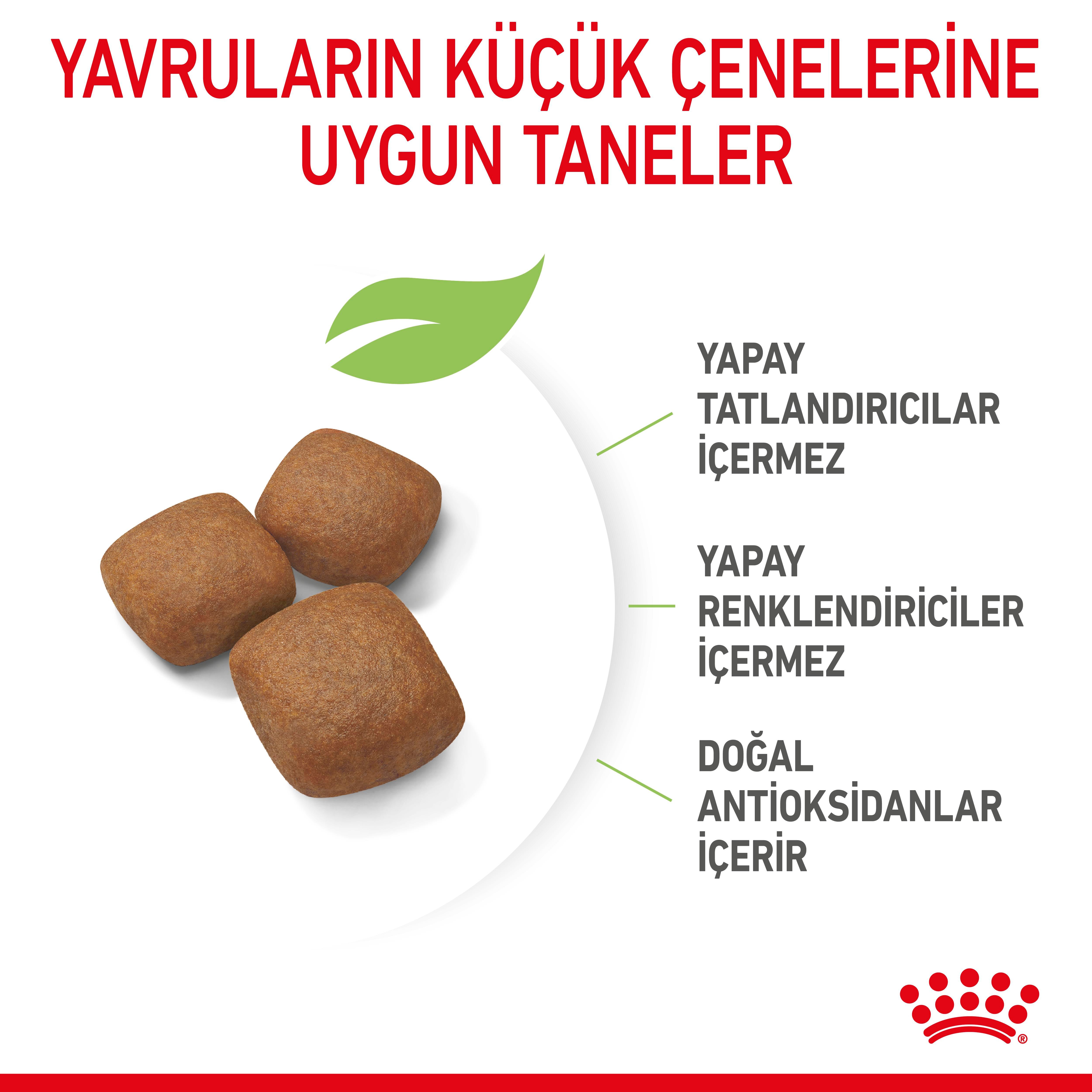Royal Canin Giant Junior Dev Irk Yavru Köpek Maması 15 Kg