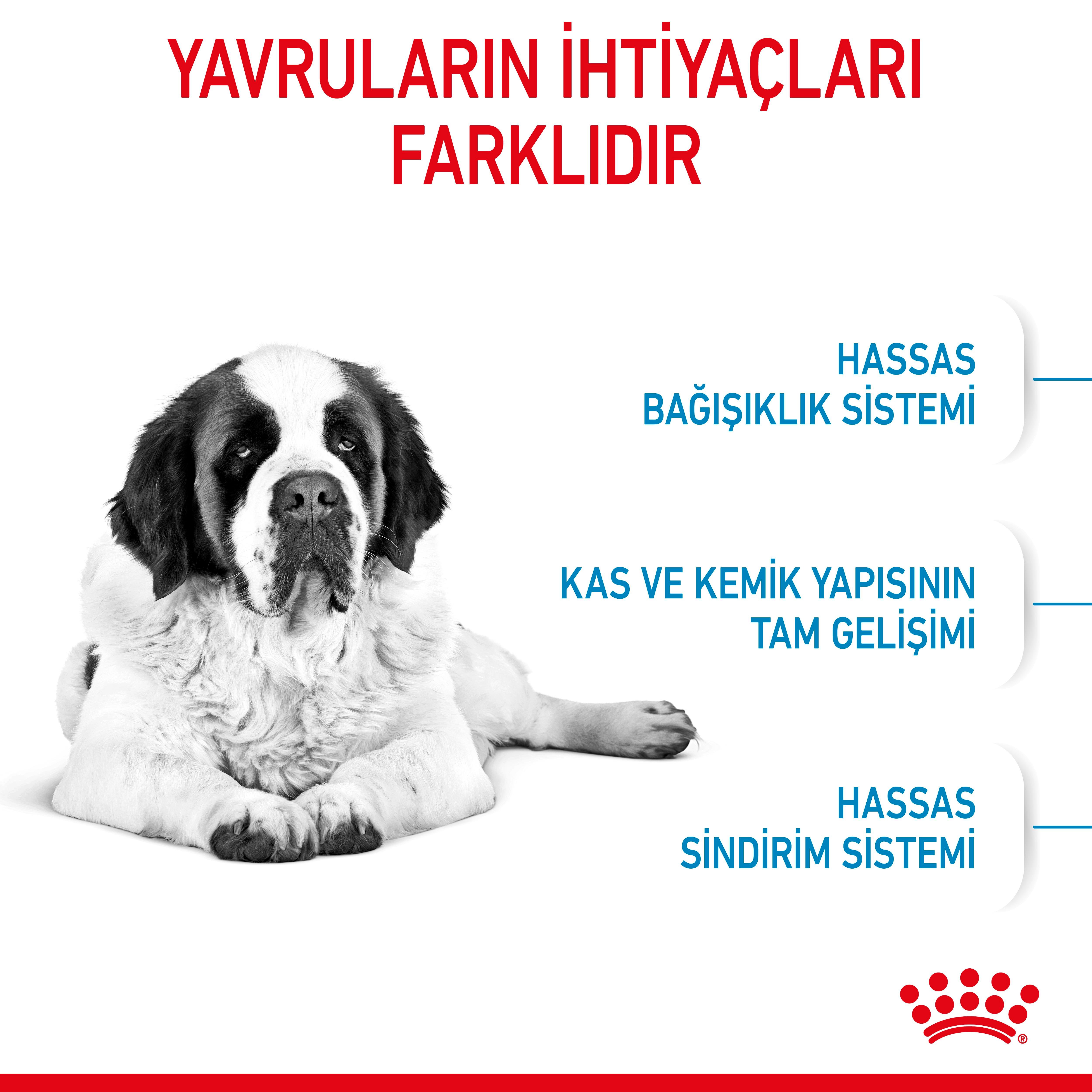 Royal Canin Giant Junior Dev Irk Yavru Köpek Maması 15 Kg