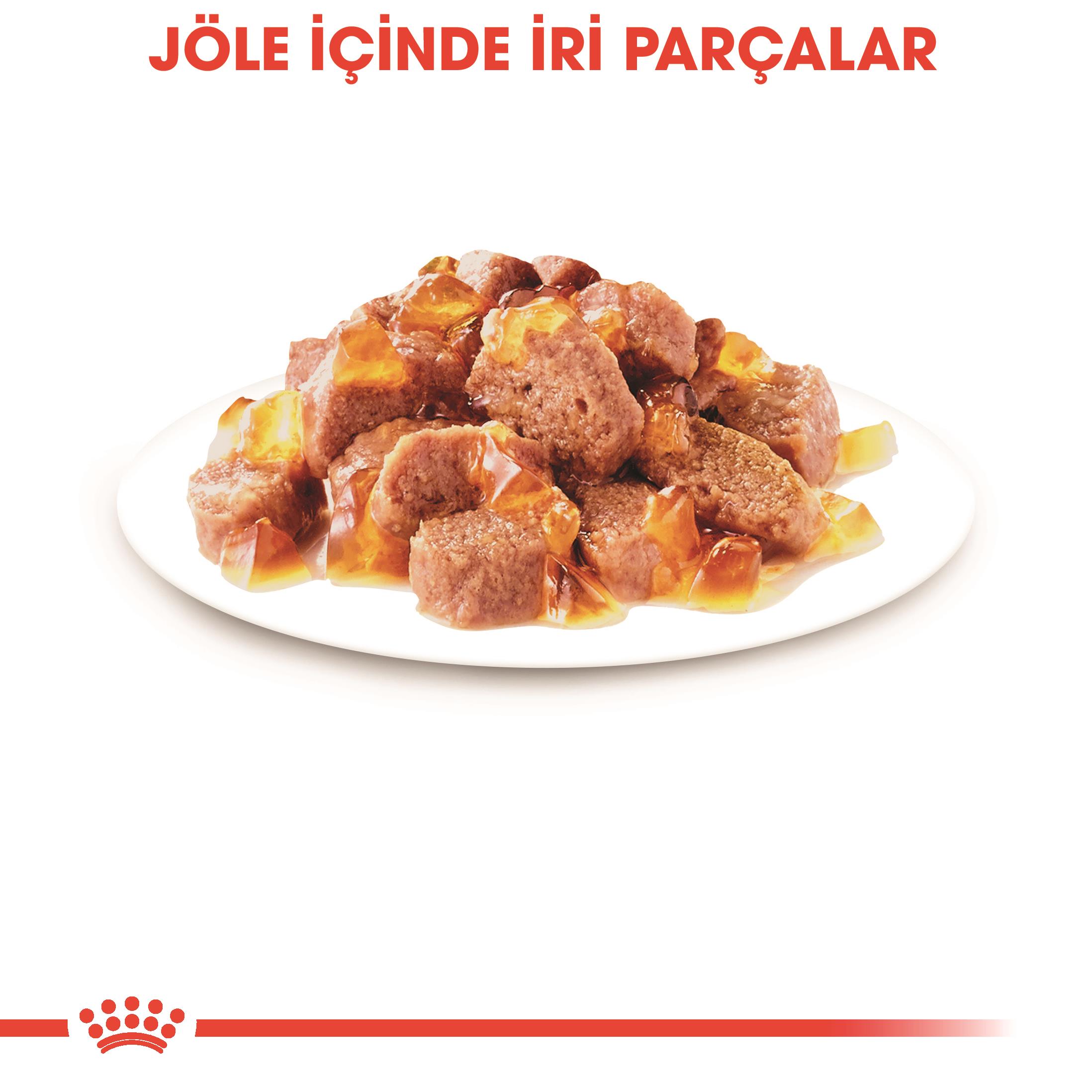 Royal Canin Hair&Skin Jelly Pouch Deri ve Tüy Sağlığı İçin Yetişkin Kedi Yaş Maması 85 Gr