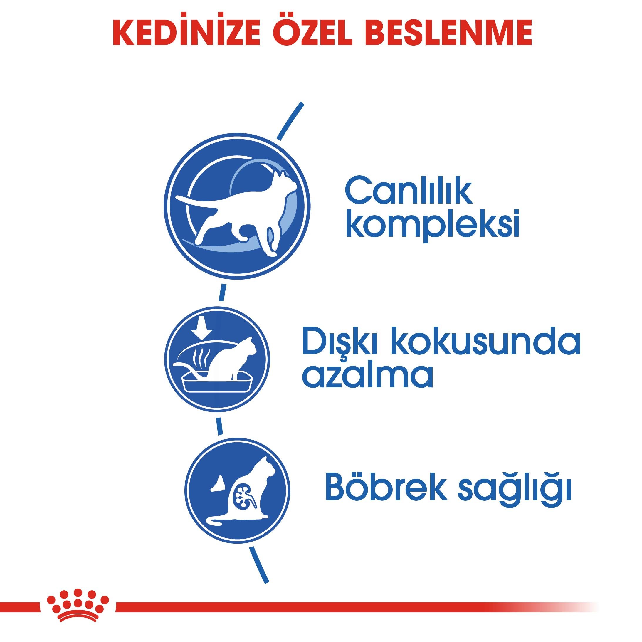Royal Canin Indoor 7+ Evde Yaşayan Kediler İçin Yaşlı Kedi Maması 1.5 Kg
