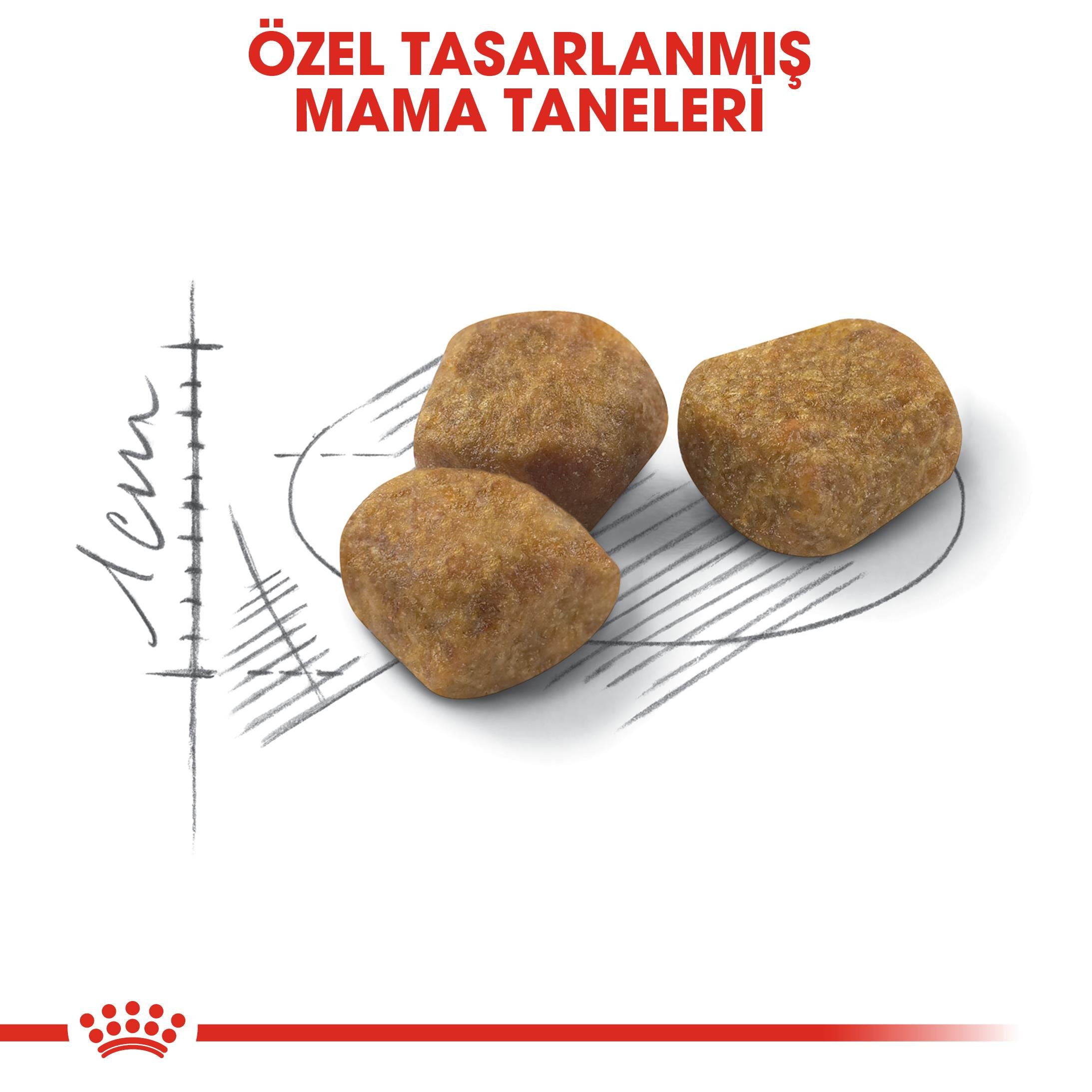Royal Canin Indoor 7+ Evde Yaşayan Kediler İçin Yaşlı Kedi Maması 1.5 Kg