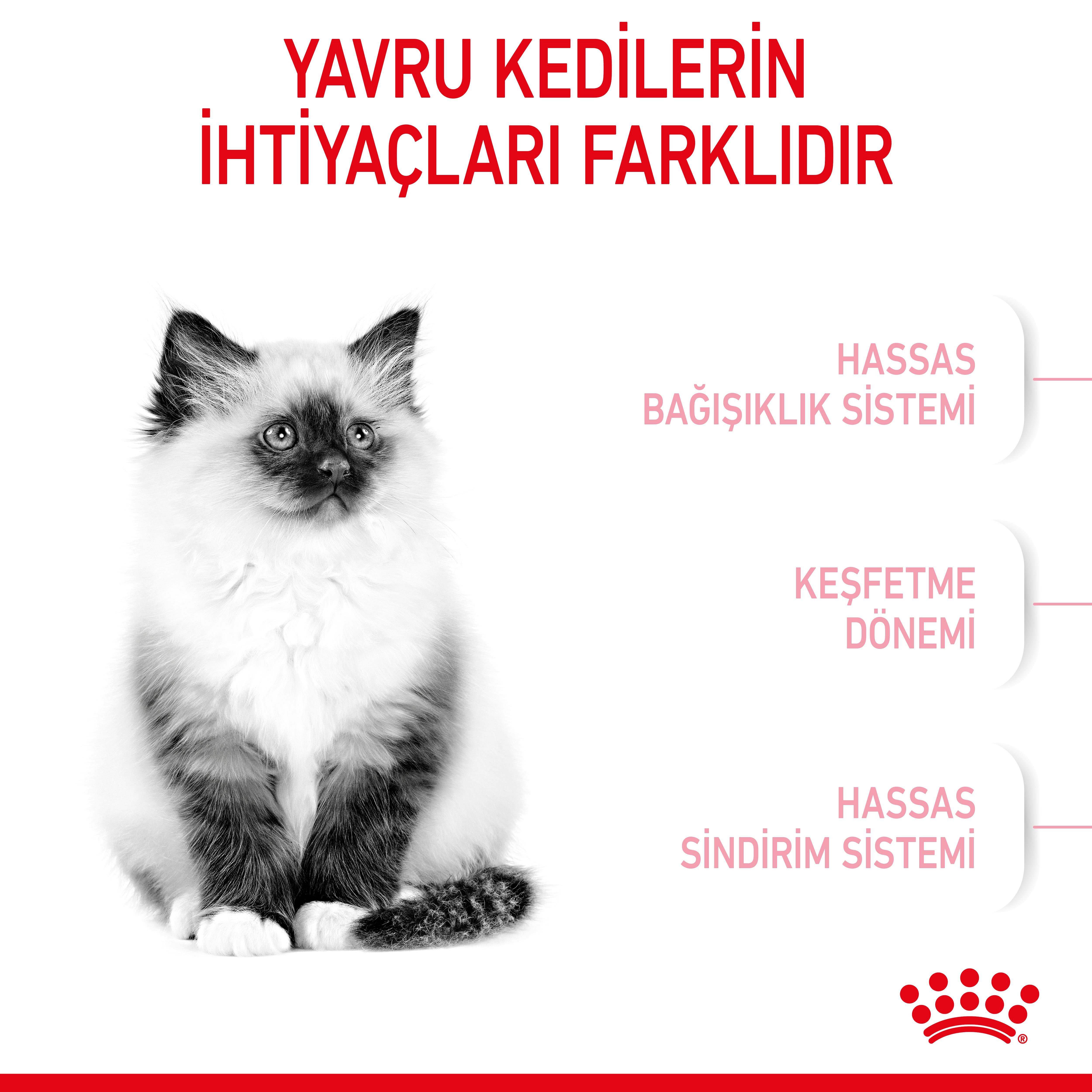 Royal Canin Kitten Yavru Kedi Maması 10 Kg