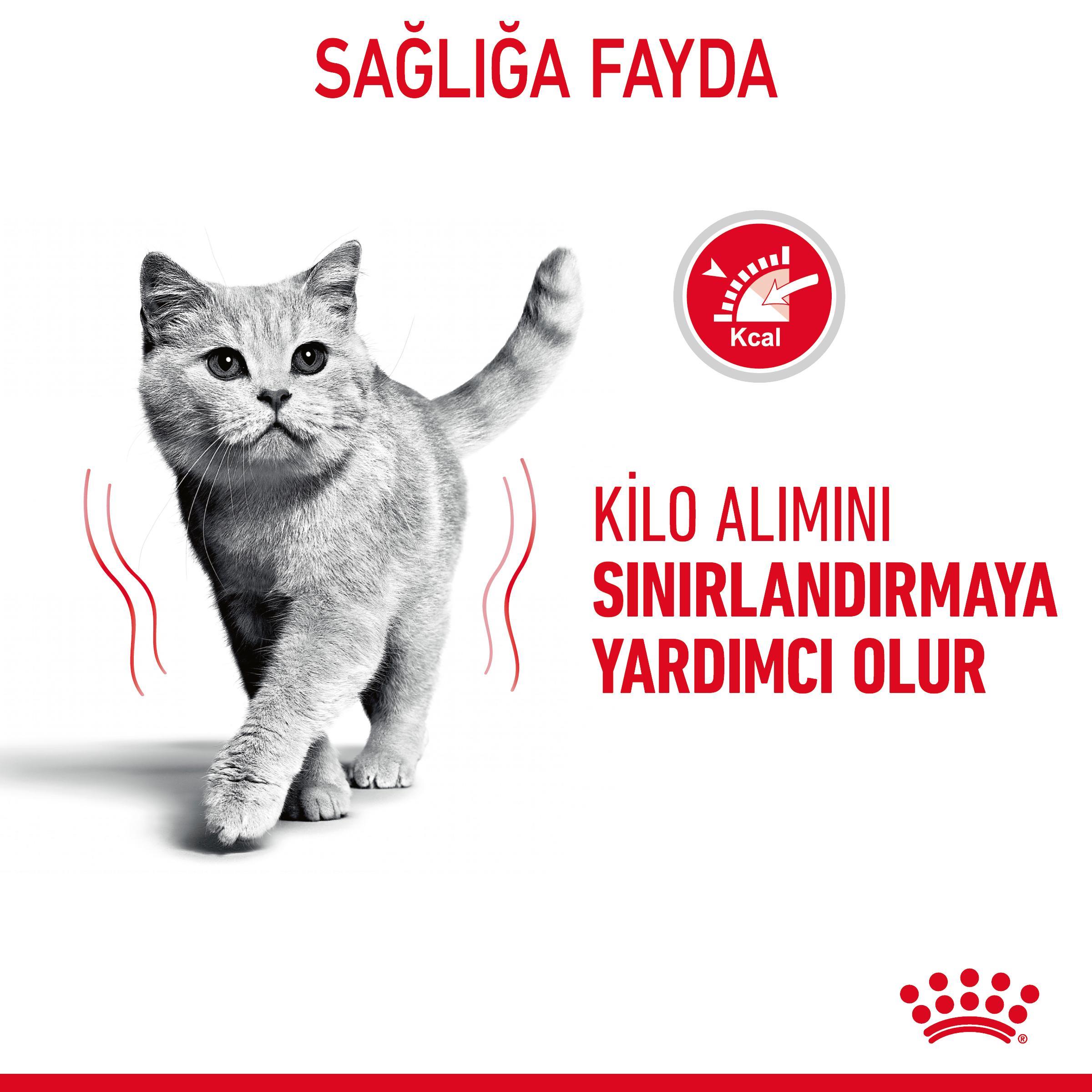 Royal Canin Light Weight Care Diyet Kedi Maması 8 Kg