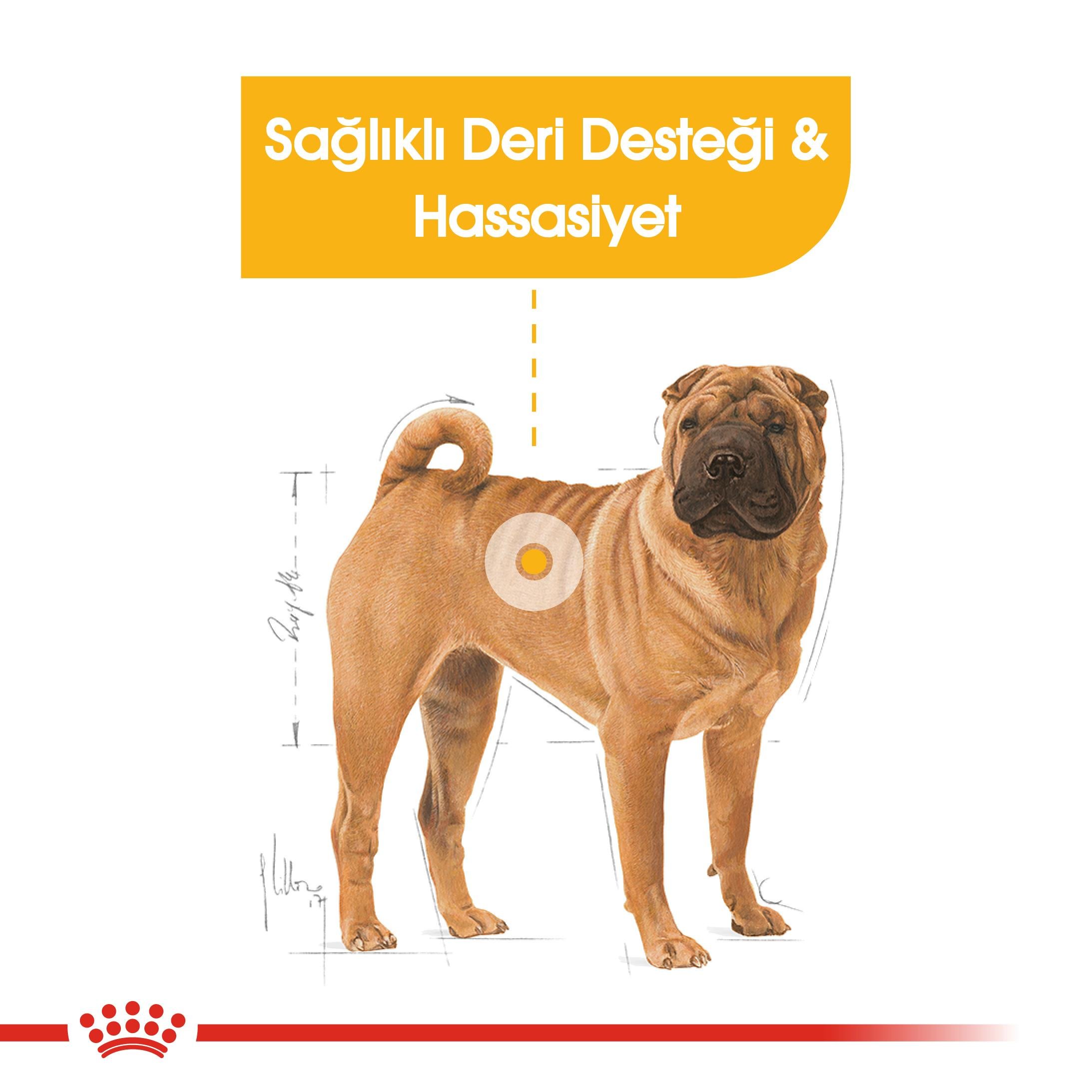 Royal Canin Medium Dermacomfort Orta Irk Yetişkin Köpek Maması 12 Kg