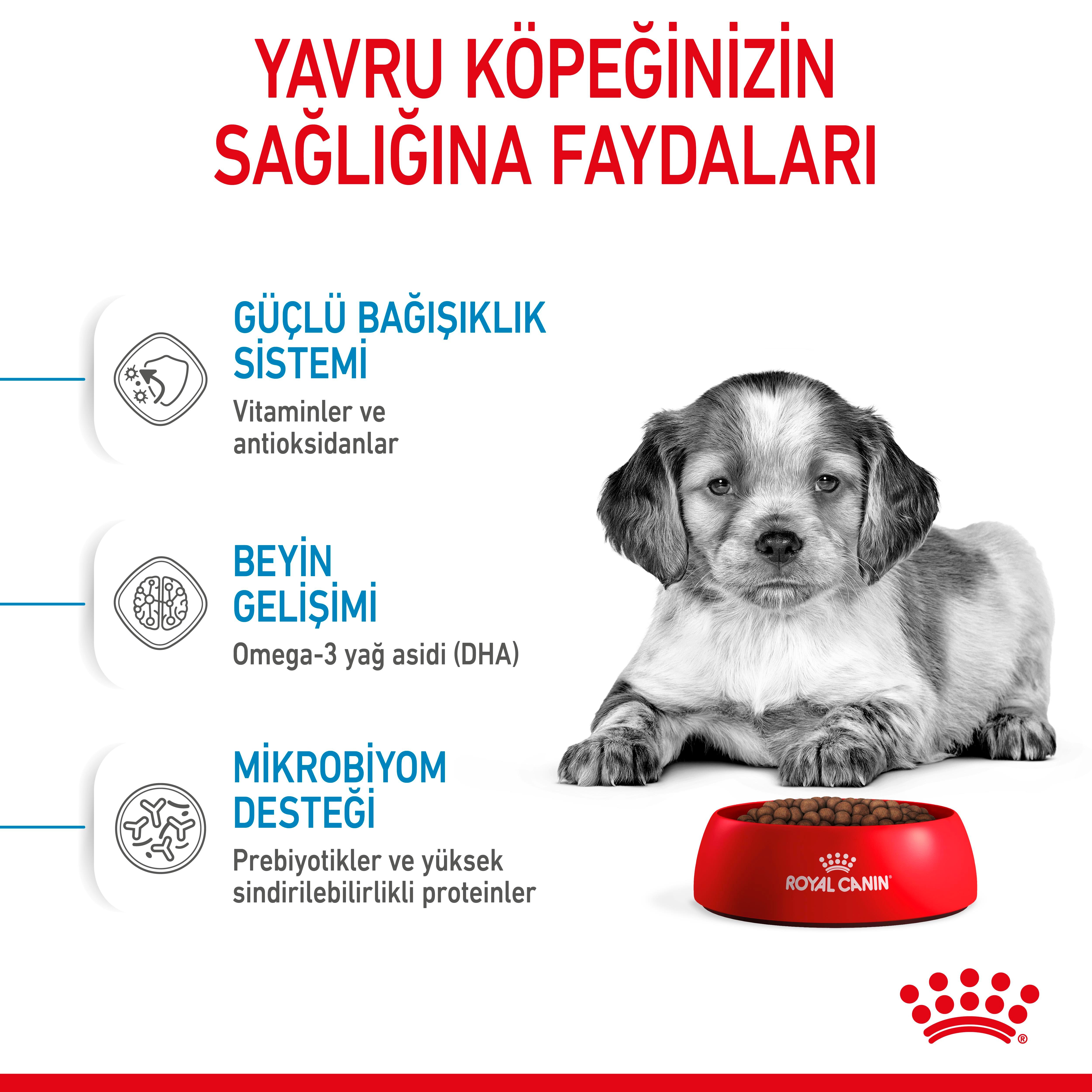 Royal Canin Medium Puppy Orta Irk Yavru Köpek Maması 15 Kg