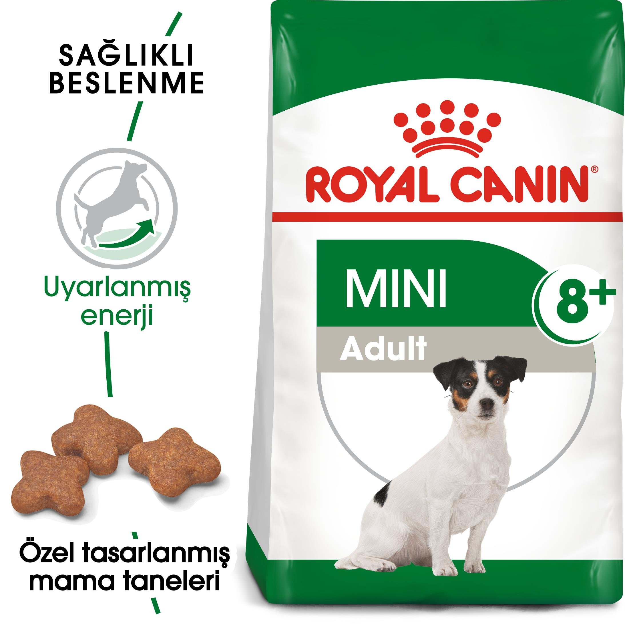 Royal Canin Mini Adult 8+ Yaşlı Küçük Irk Köpek Maması 2 Kg