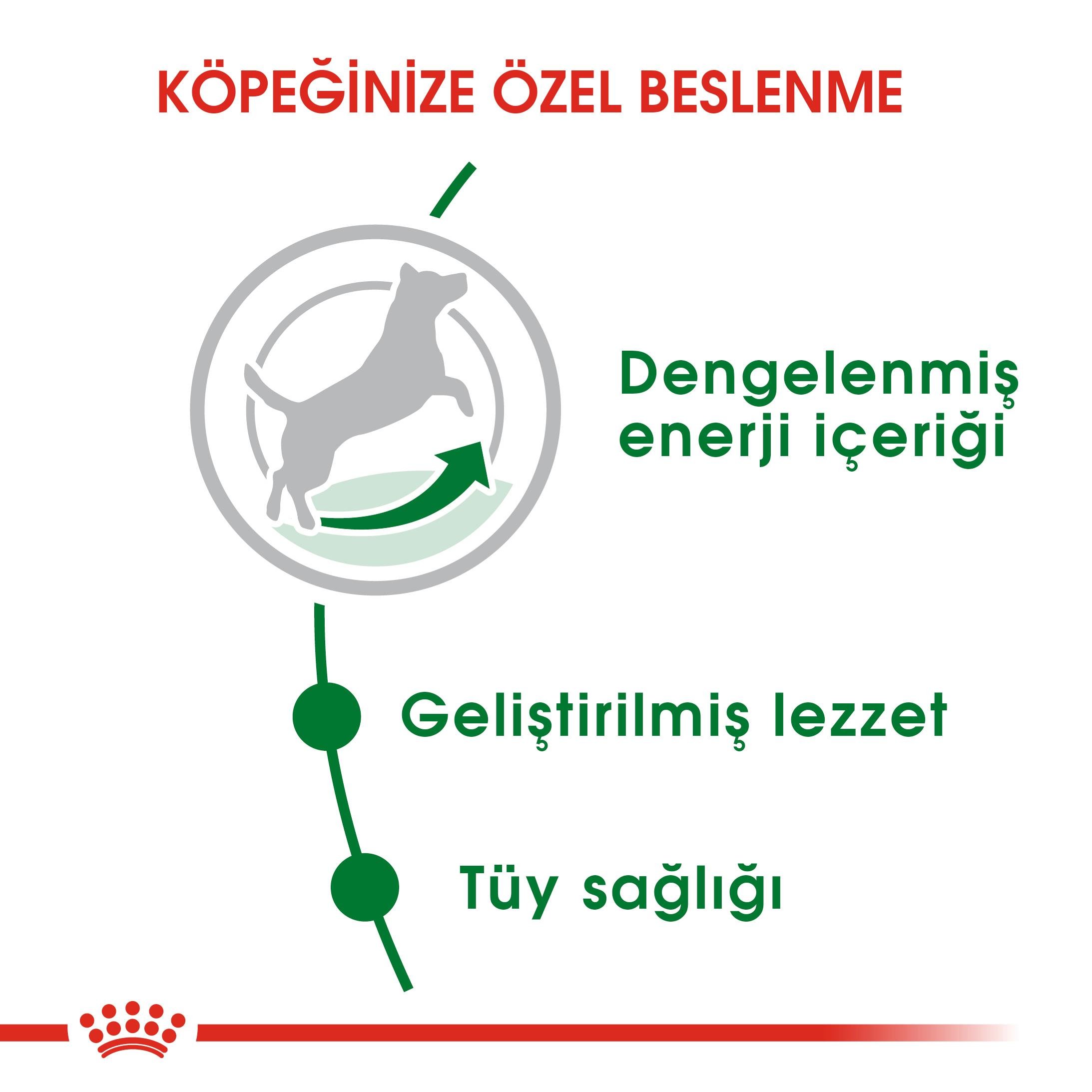 Royal Canin Mini Adult Küçük Irk Yetişkin Köpek Maması 2 Kg
