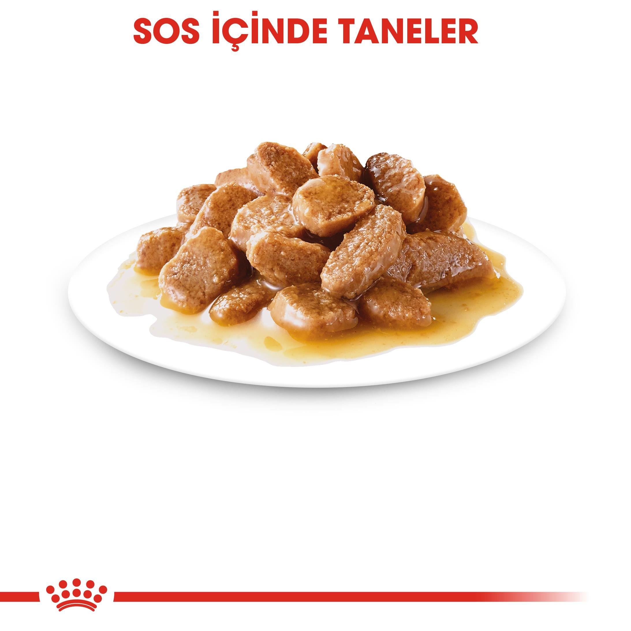 Royal Canin Mini Adult Pouch Küçük Irk Yetişkin Köpek Yaş Maması 85 Gr