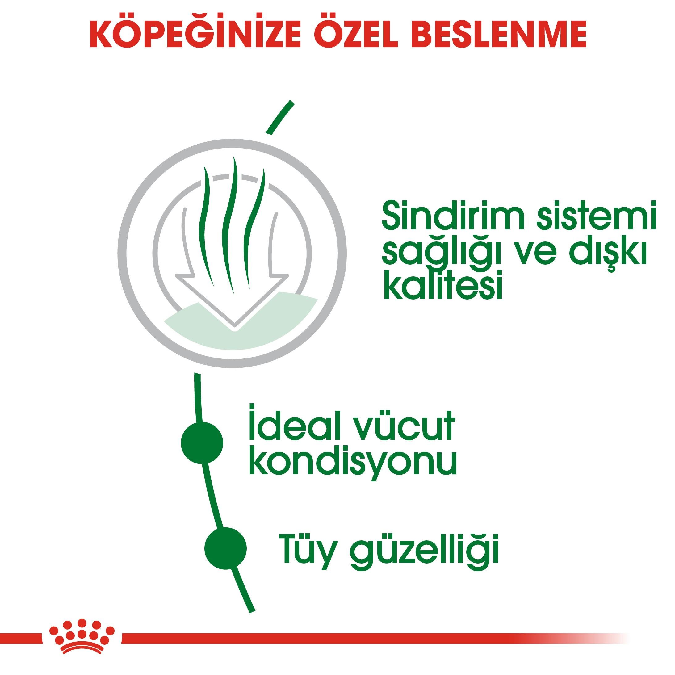 Royal Canin Mini Indoor Adult Küçük Irk Yetişkin Köpek Maması 1.5 Kg 