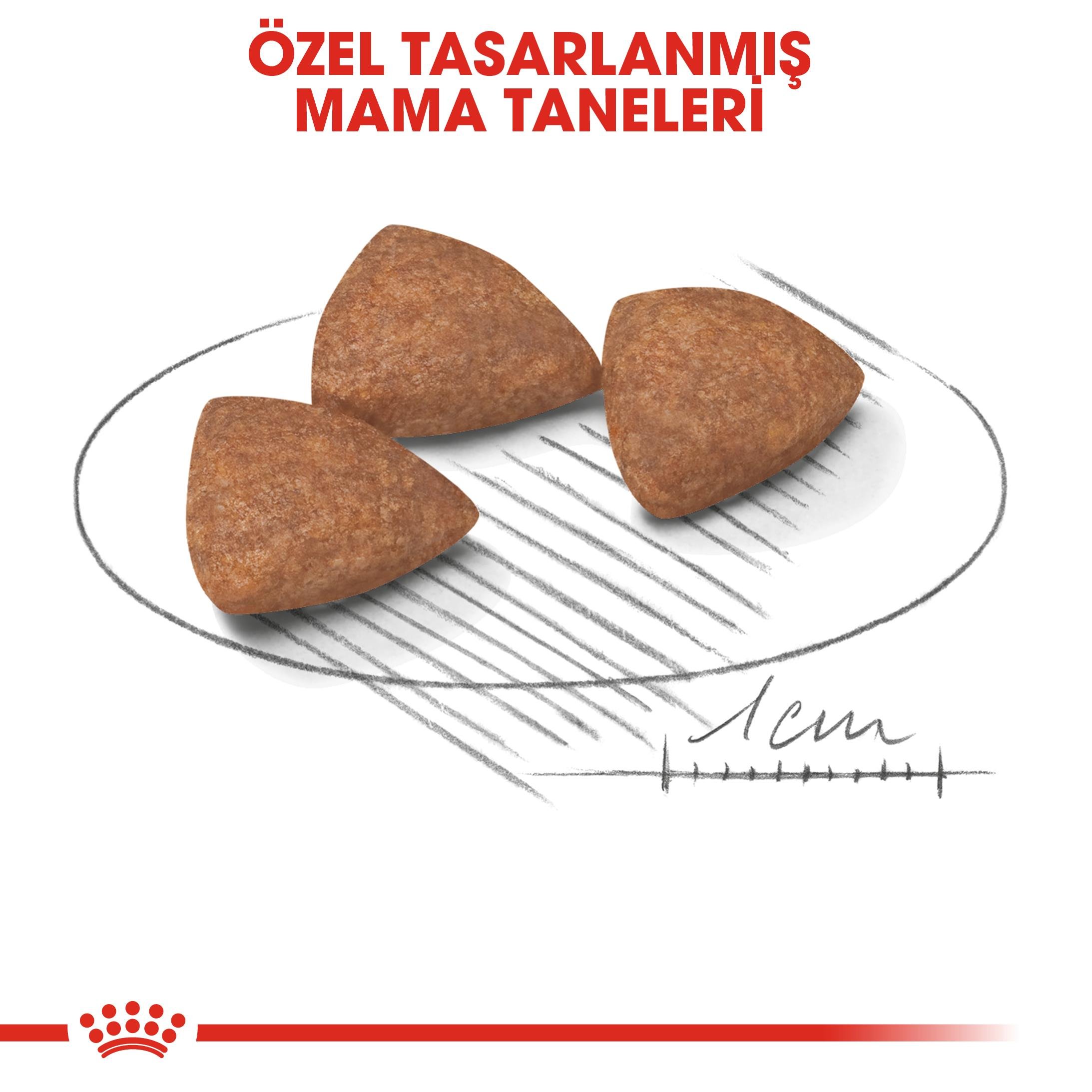 Royal Canin Mini Indoor Adult Küçük Irk Yetişkin Köpek Maması 1.5 Kg 