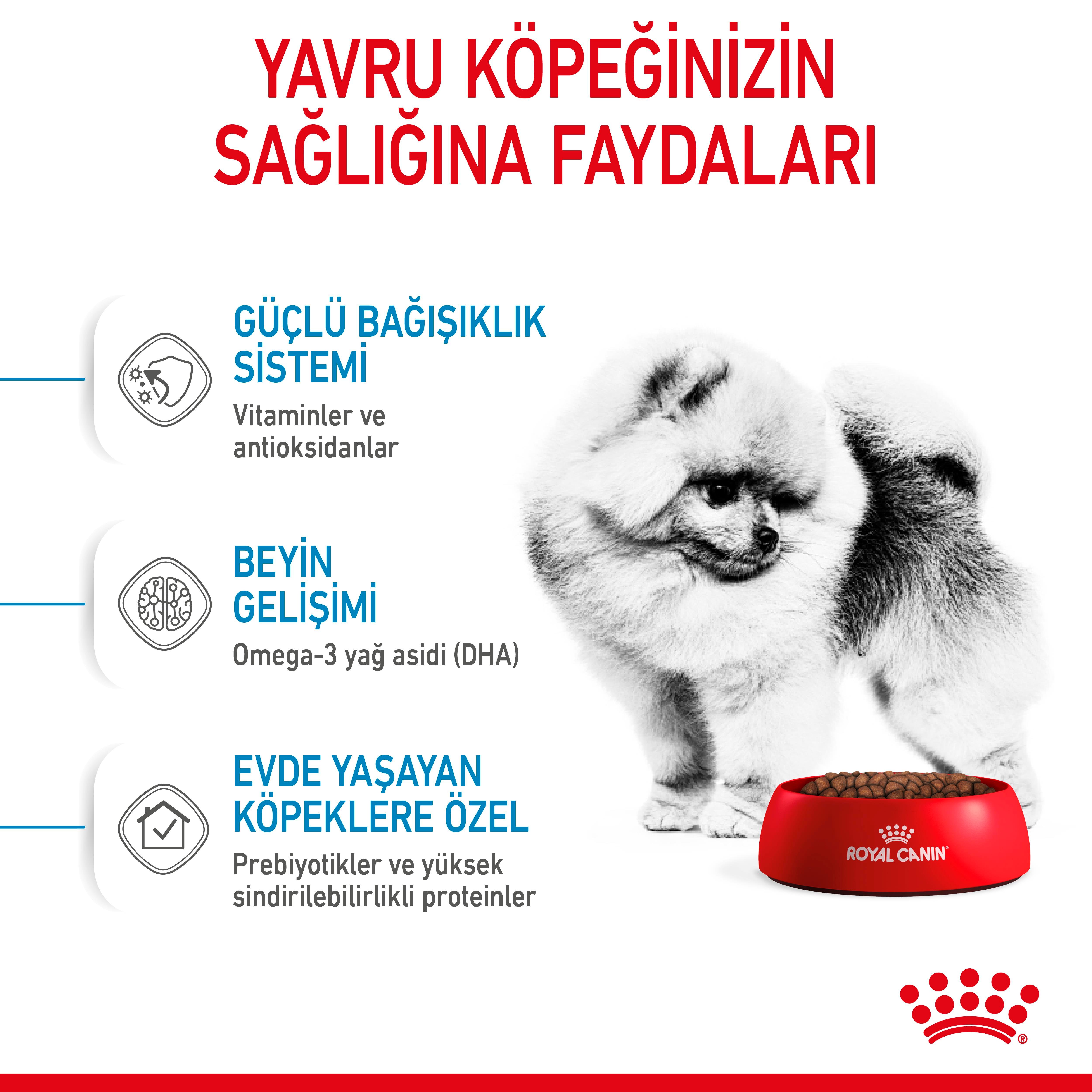 Royal Canin Mini İndoor Puppy Küçük Irk Yavru Köpek Maması 1.5 Kg