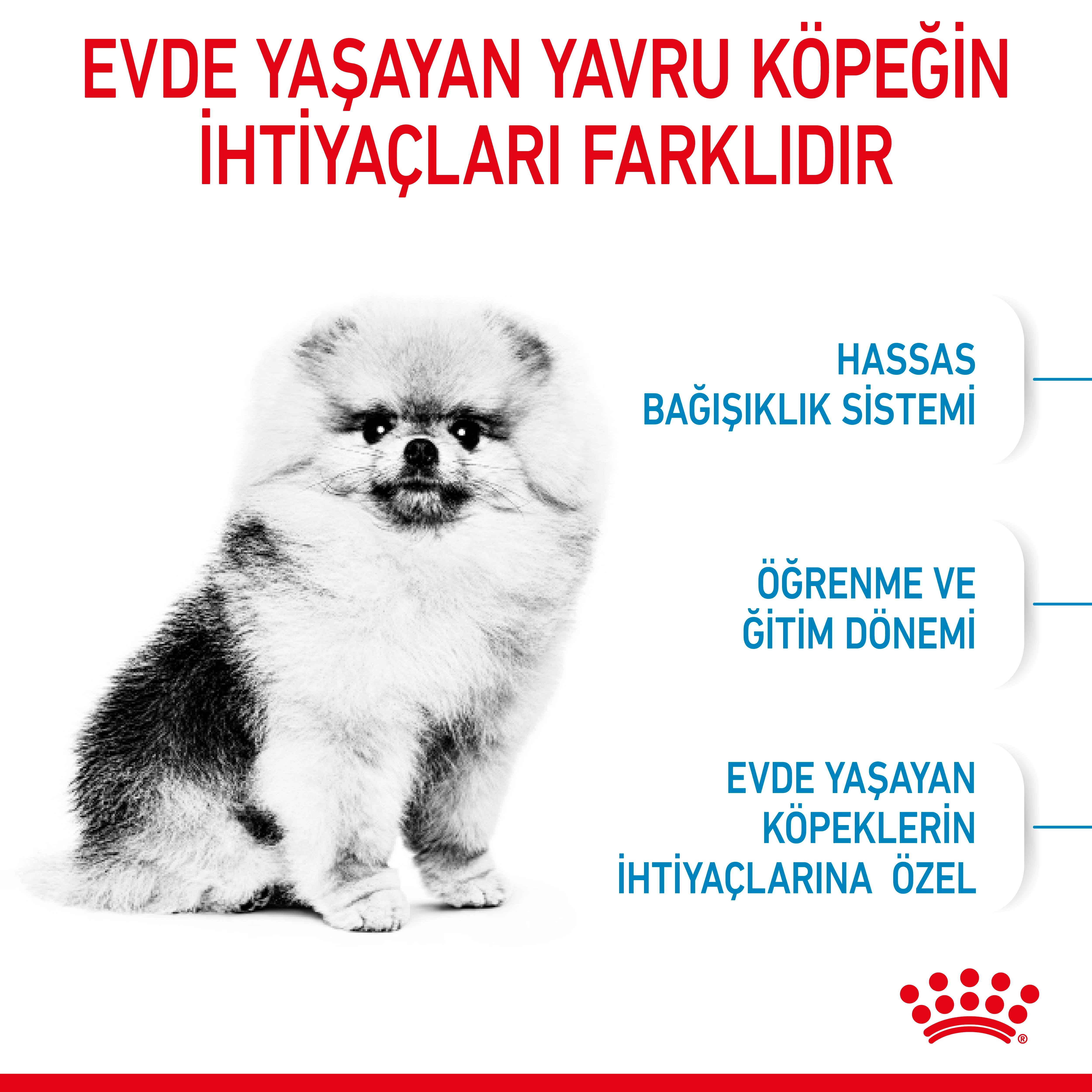 Royal Canin Mini İndoor Puppy Küçük Irk Yavru Köpek Maması 1.5 Kg