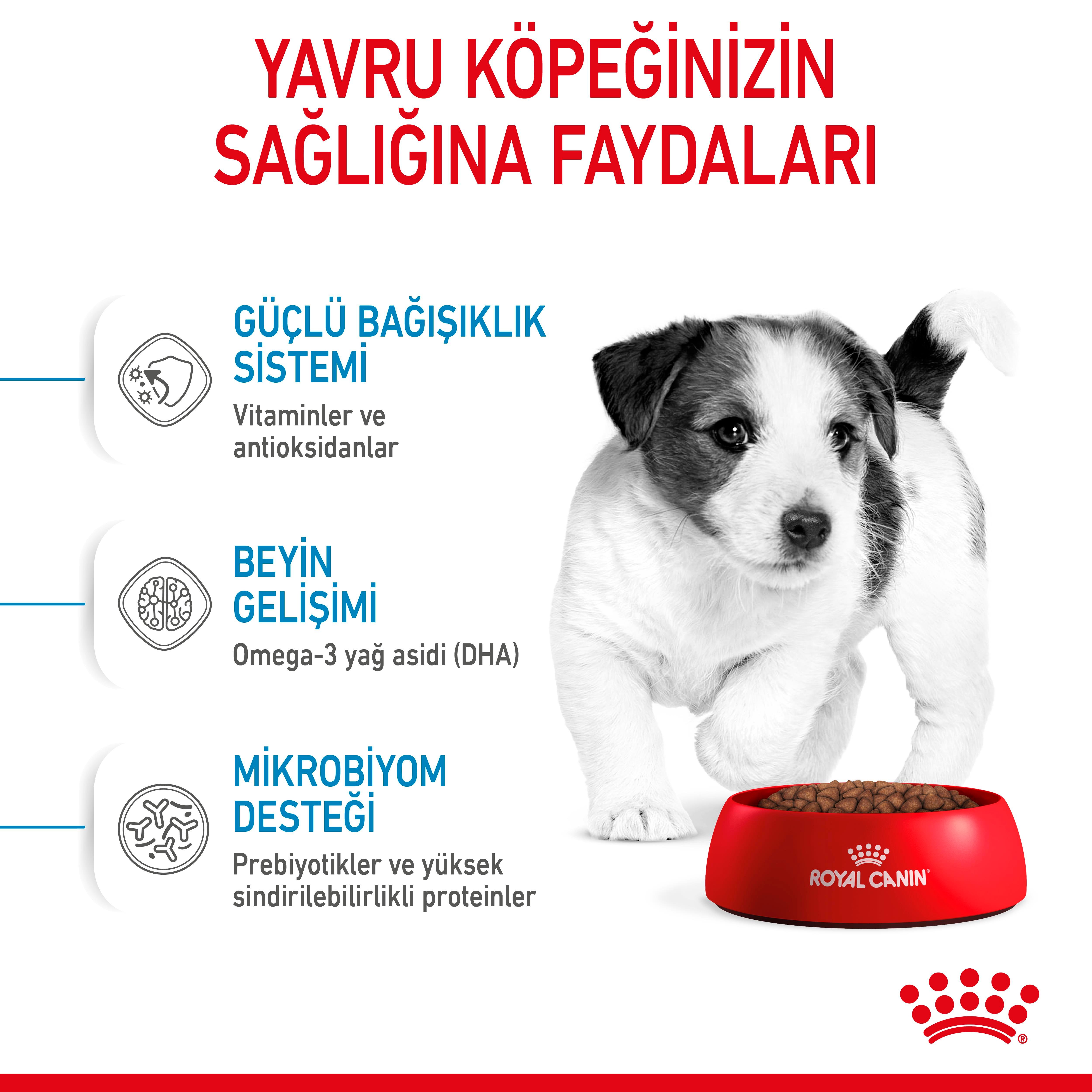 Royal Canin Mini Puppy Küçük Irk Yavru Köpek Maması 4 Kg