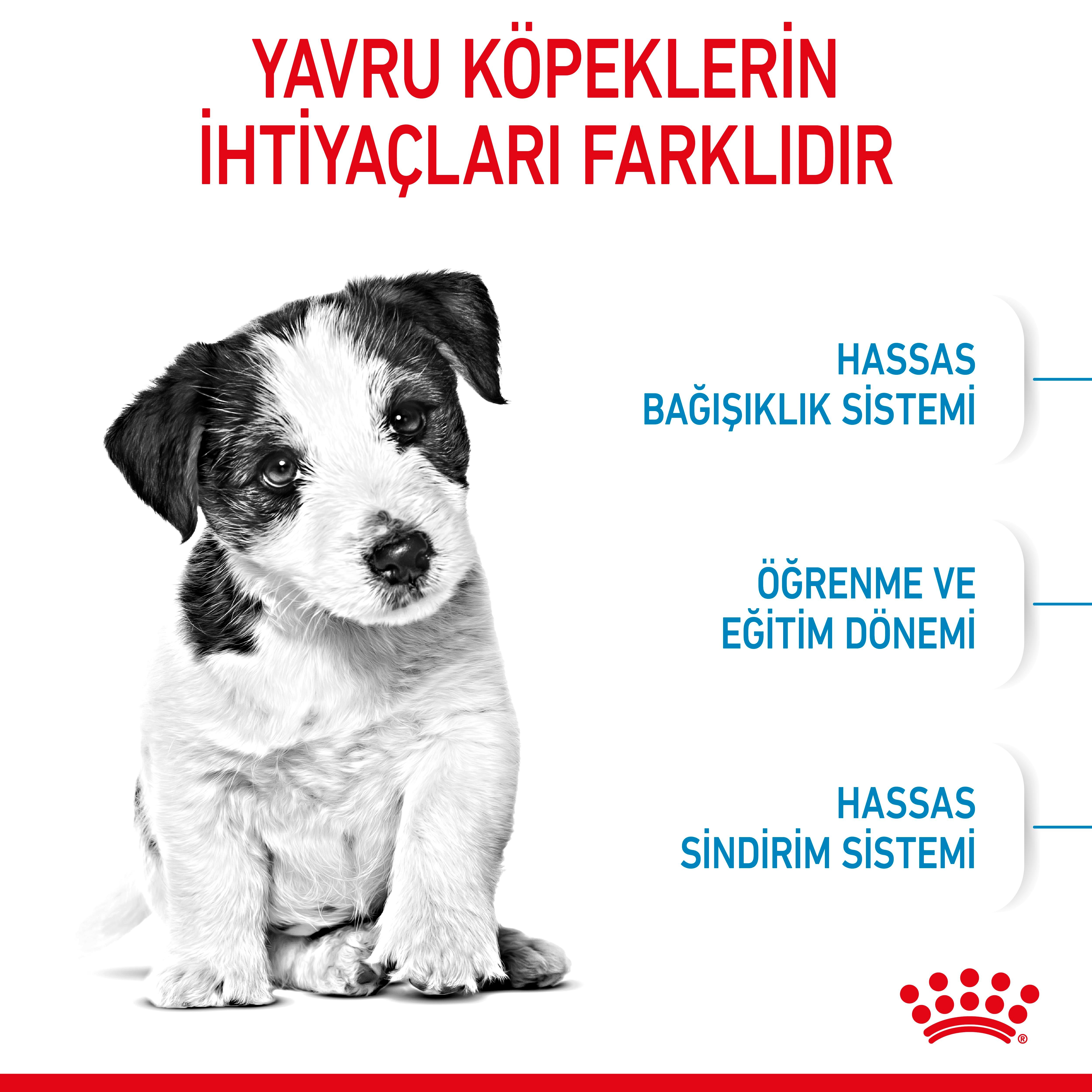 Royal Canin Mini Puppy Küçük Irk Yavru Köpek Maması 4 Kg