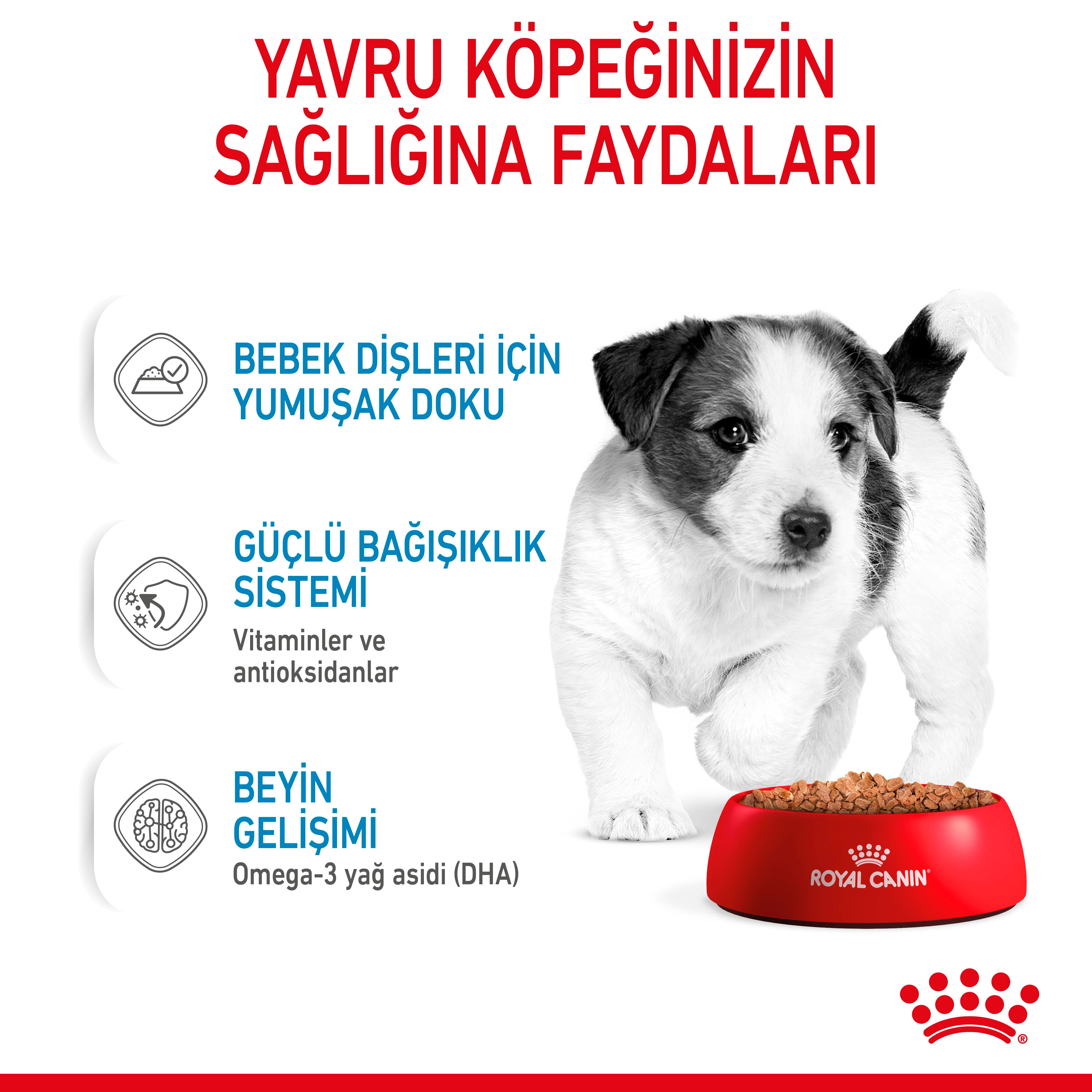 Royal Canin Mini Puppy Yavru Köpek Yaş Maması 85 Gr