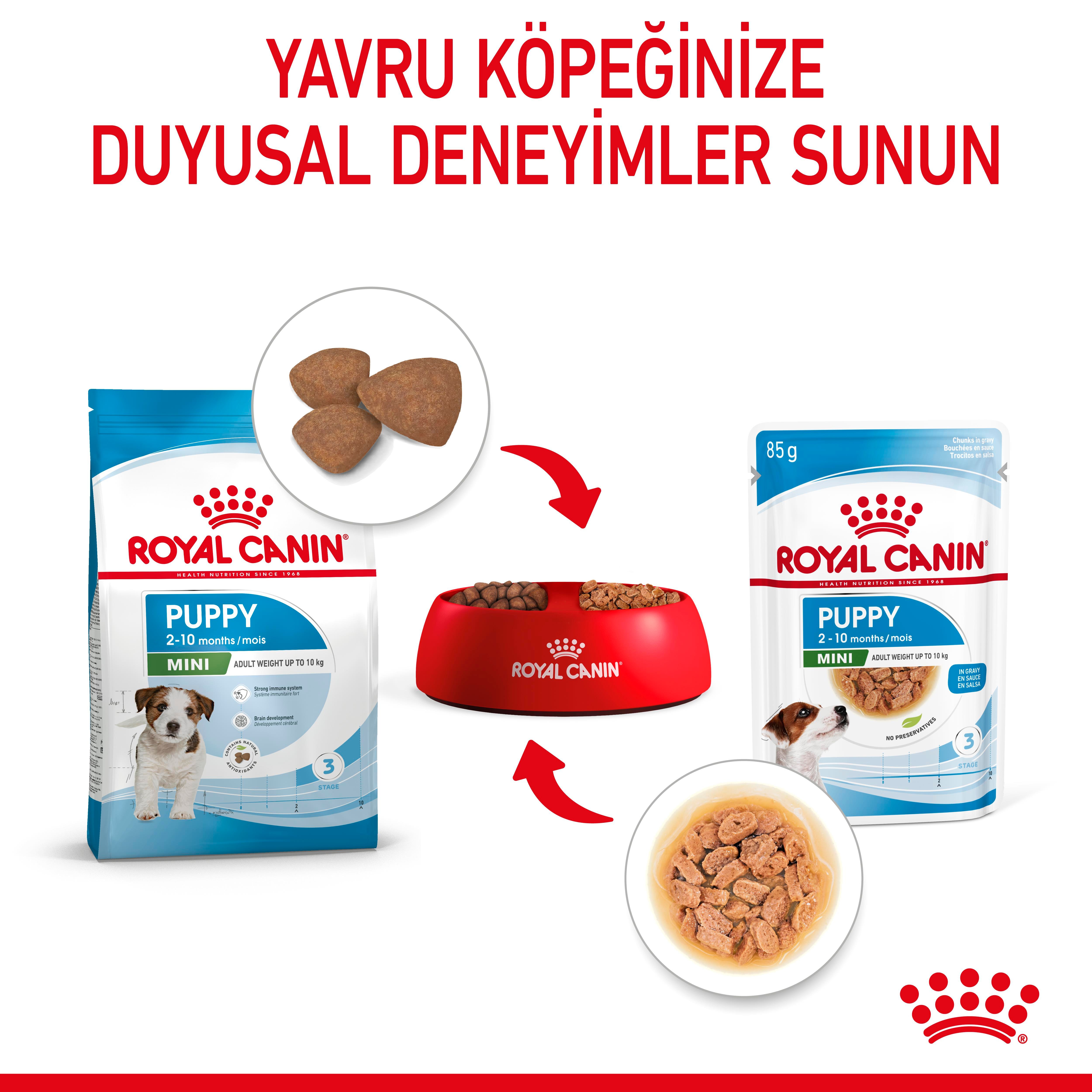 Royal Canin Mini Puppy Yavru Köpek Yaş Maması 85 Gr