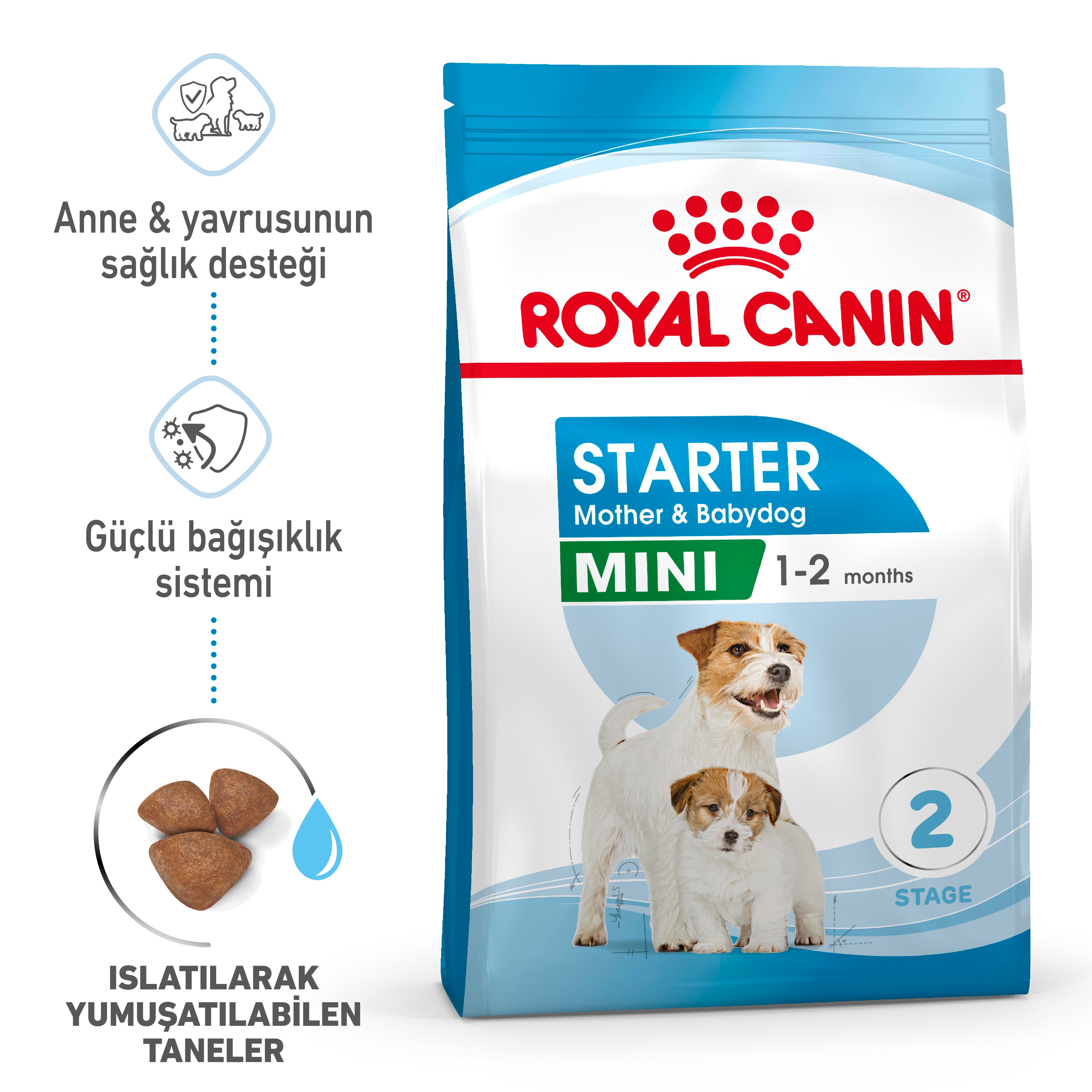 Royal Canin Mini Starter Mother&Babydog Anne ve Yavru Köpek Maması 4 Kg