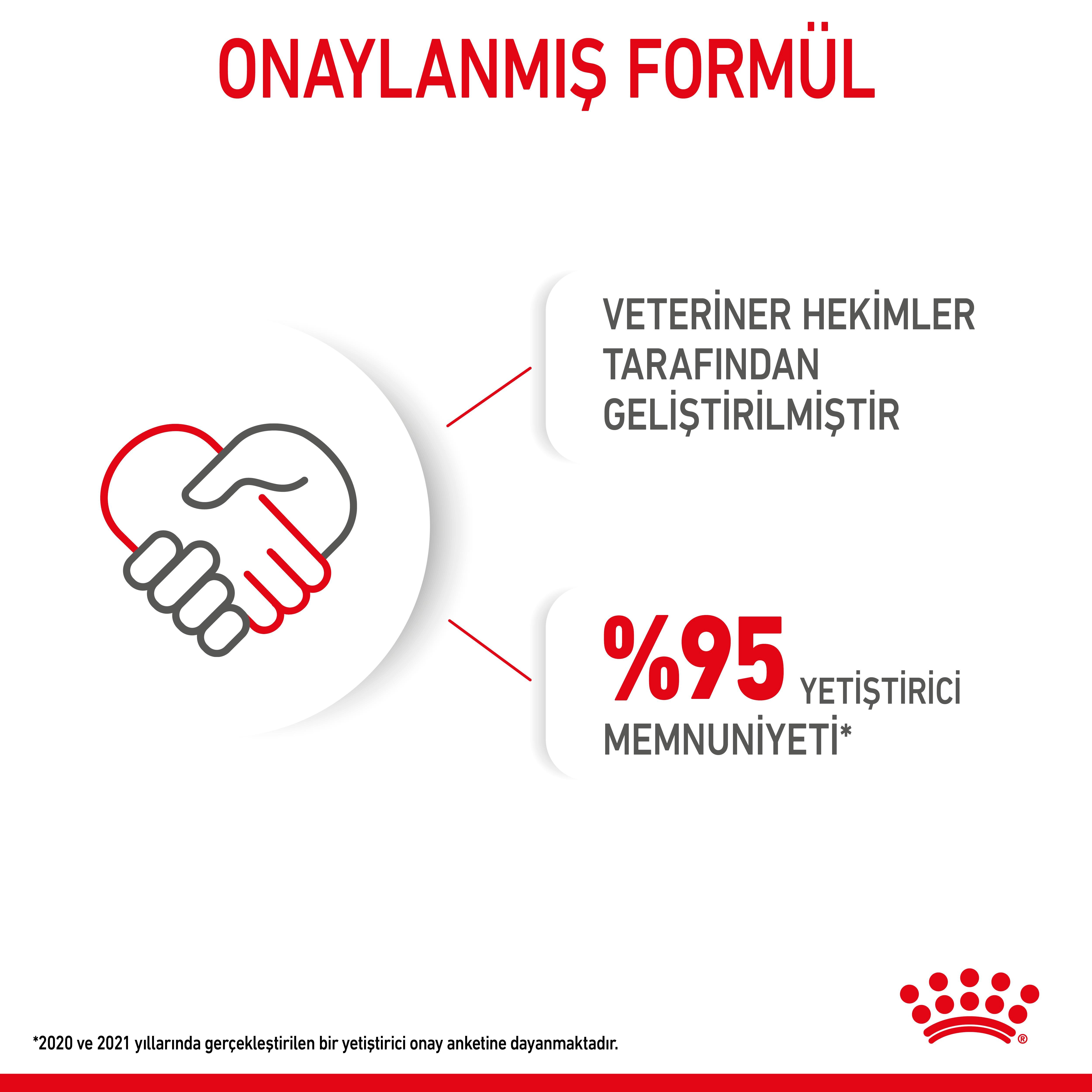 Royal Canin Mini Starter Mother&Babydog Anne ve Yavru Köpek Maması 4 Kg