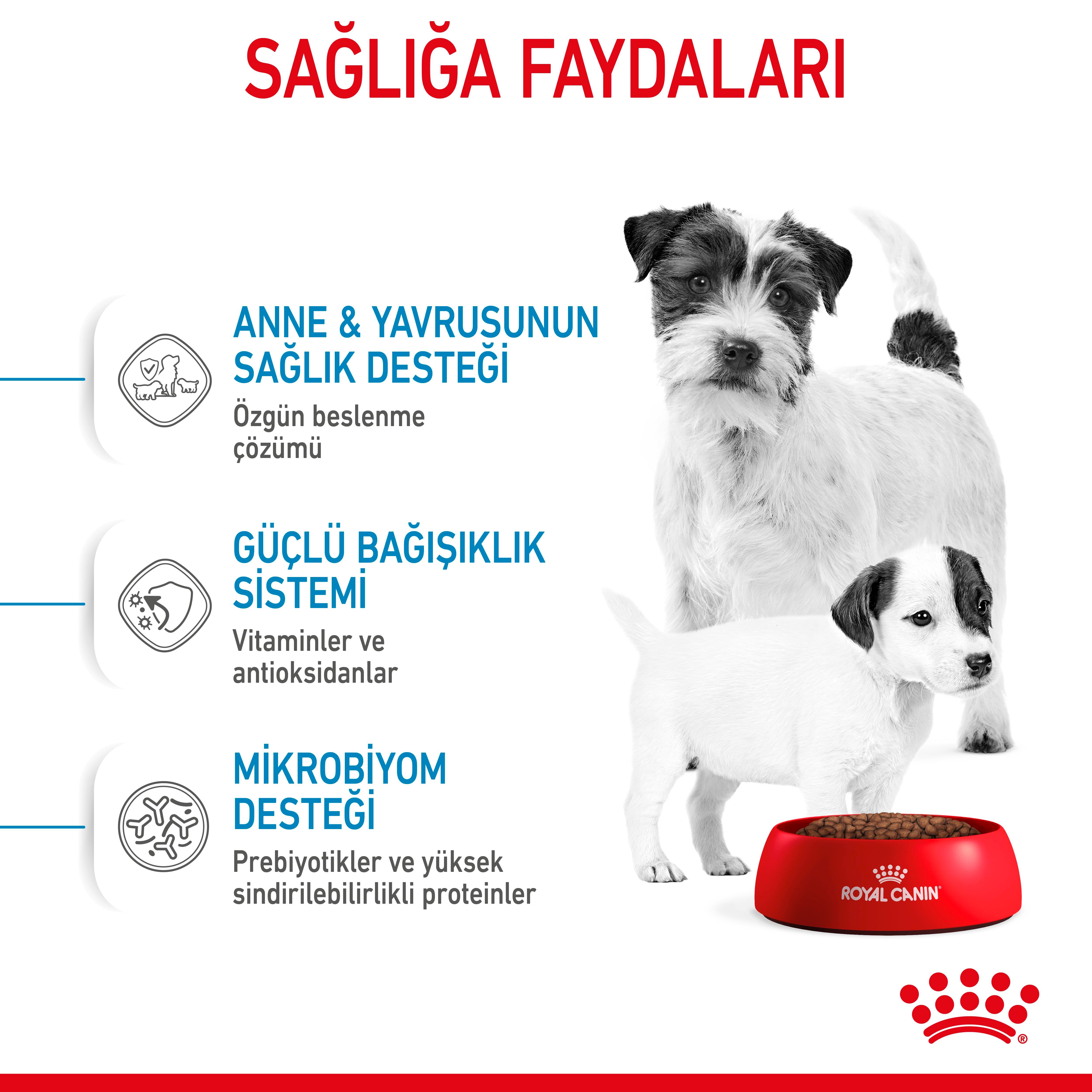 Royal Canin Mini Starter Mother&Babydog Anne ve Yavru Köpek Maması 4 Kg