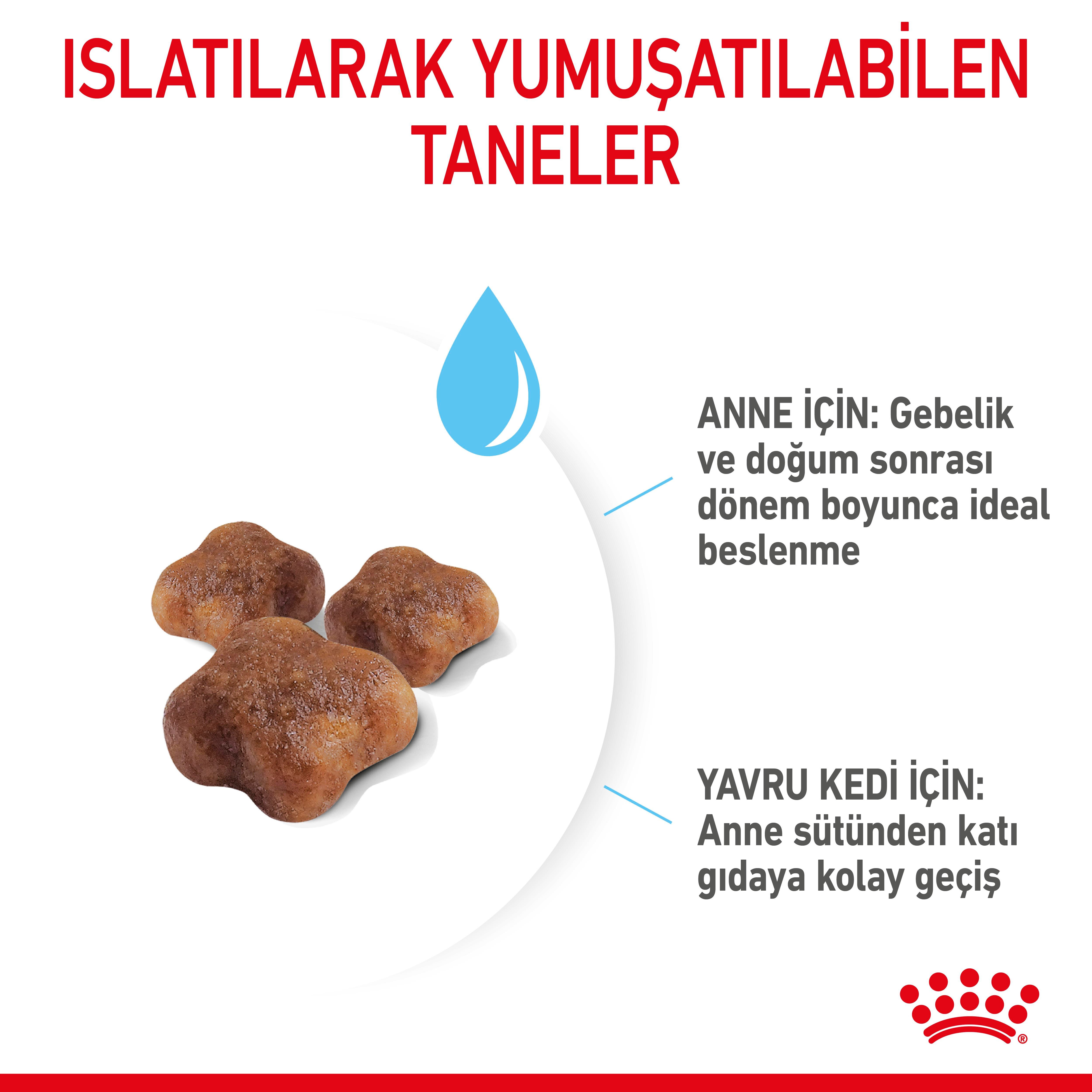 Royal Canin Mother&Babycat Anne ve Yavru Kedi Maması 4 Kg