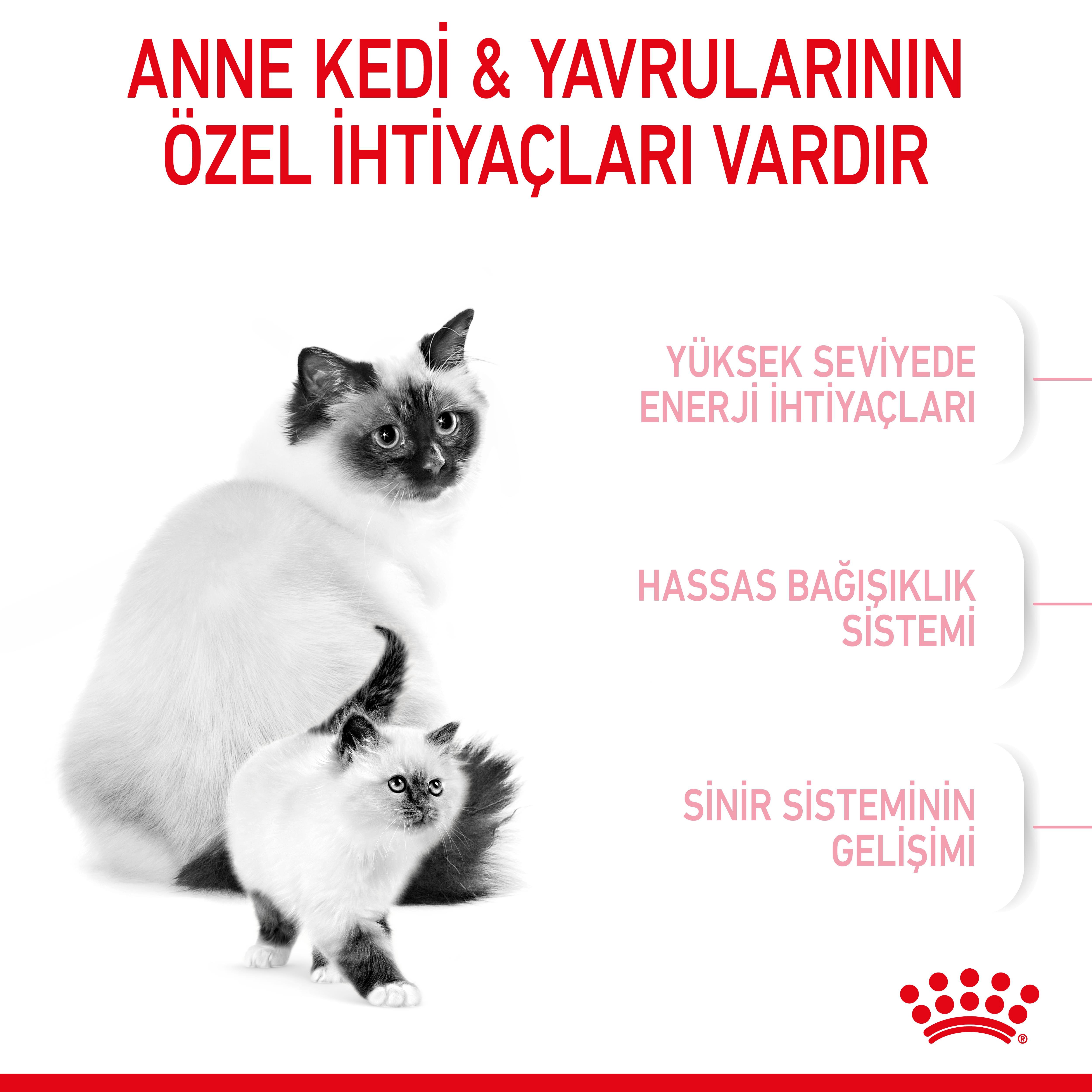 Royal Canin Mother&Babycat Anne ve Yavru Kedi Maması 2 Kg
