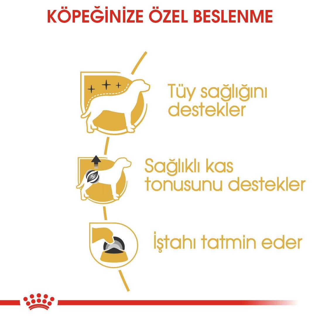 Royal Canin Poodle Adult Yetişkin Köpek Yaş Maması 85 Gr