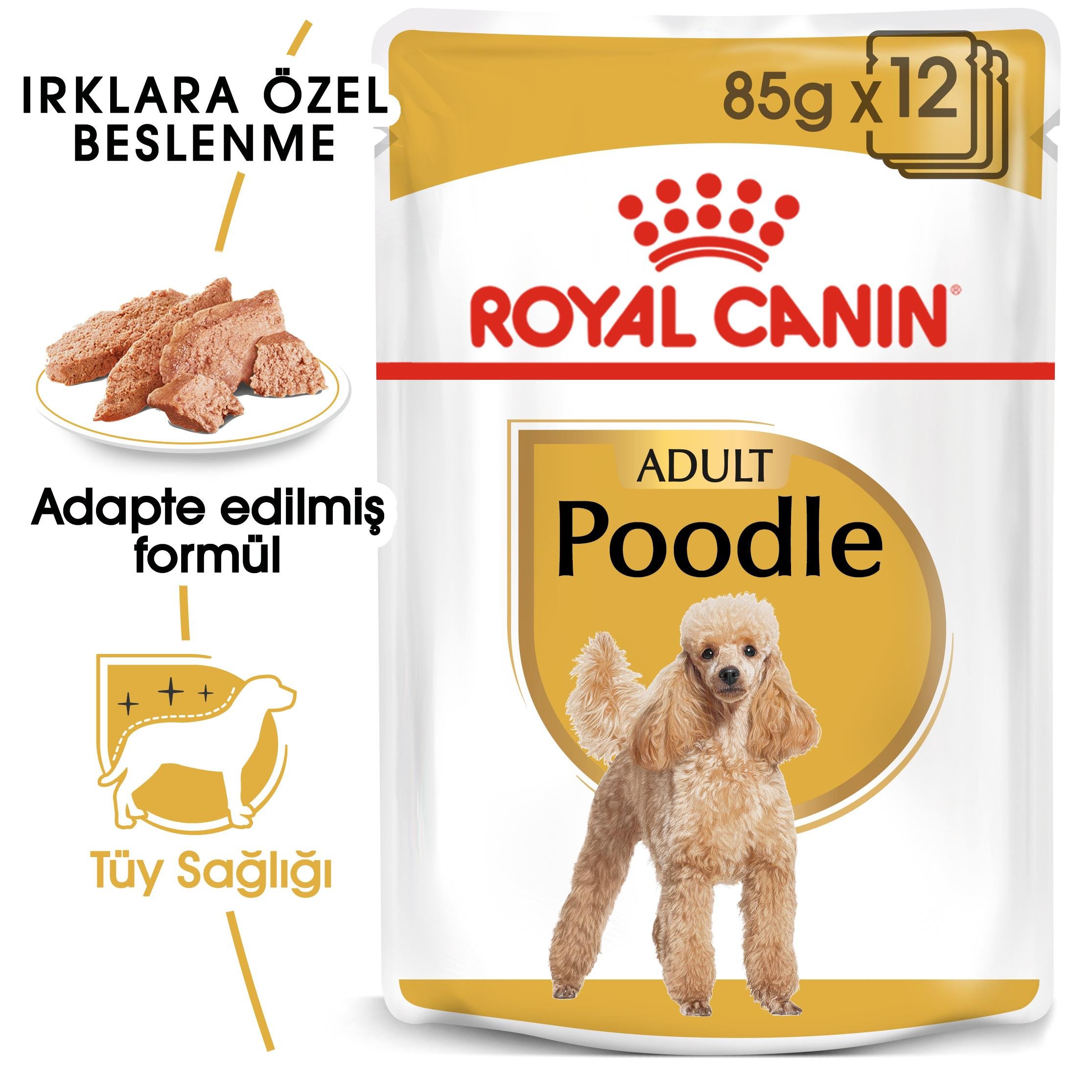 Royal Canin Poodle Adult Yetişkin Köpek Yaş Maması 85 Gr