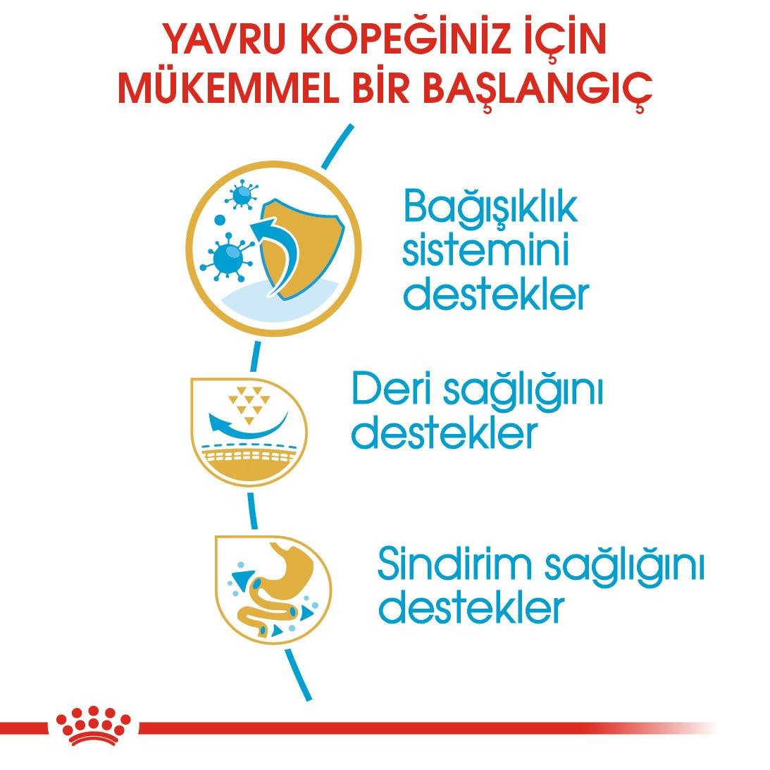 Royal Canin Pug Puppy Yavru Köpek Maması 1.5 Kg