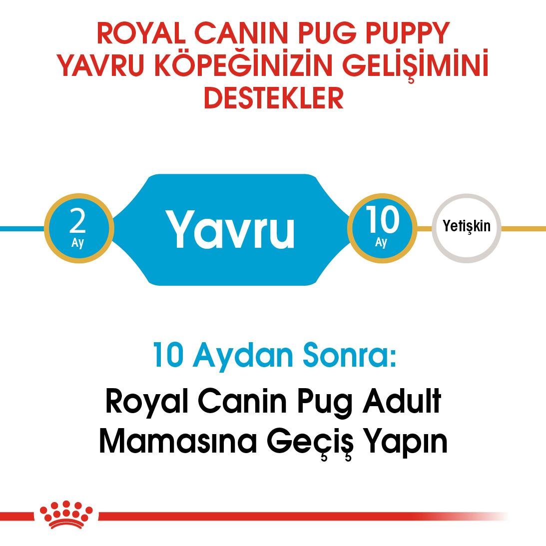 Royal Canin Pug Puppy Yavru Köpek Maması 1.5 Kg