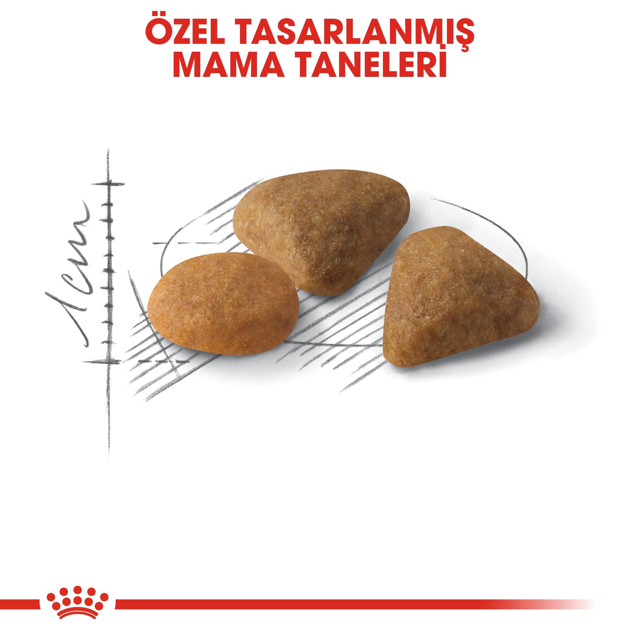Royal Canin Savour Exigent Yetişkin Kedi Maması 4 Kg
