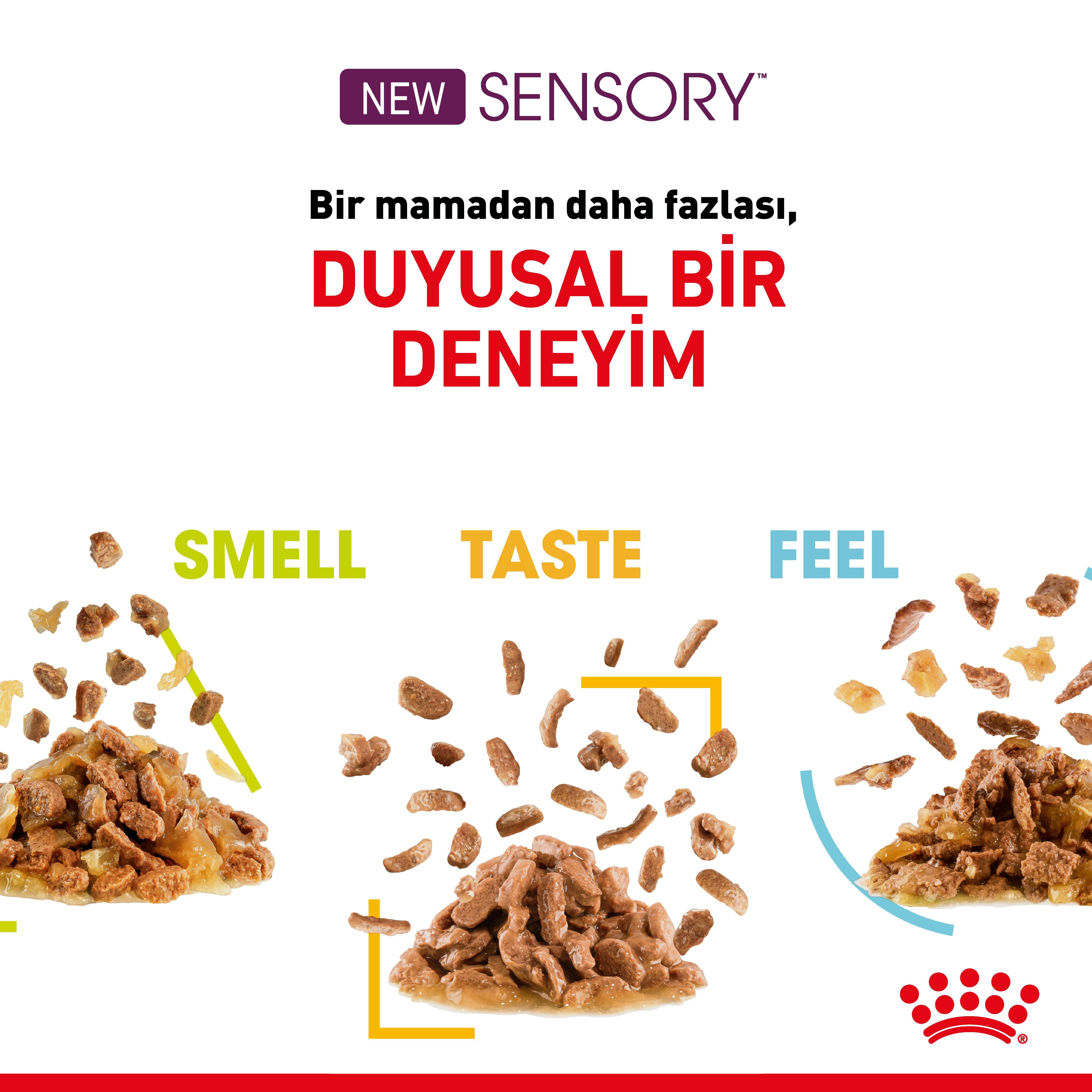 Royal Canin Sensory Feel Gravy Pouch Yetişkin Kedi Yaş Maması 85 Gr