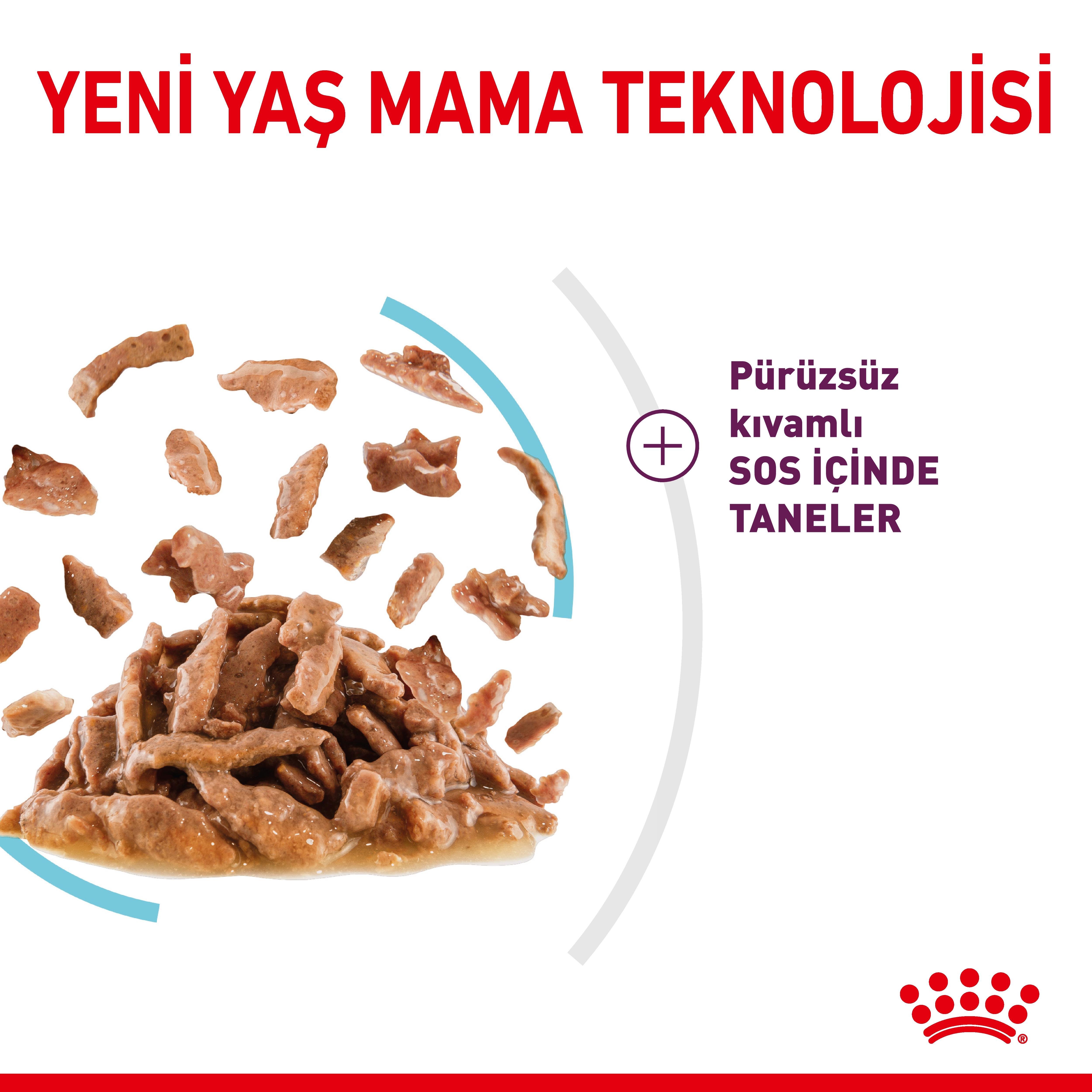 Royal Canin Sensory Feel Gravy Pouch Yetişkin Kedi Yaş Maması 85 Gr