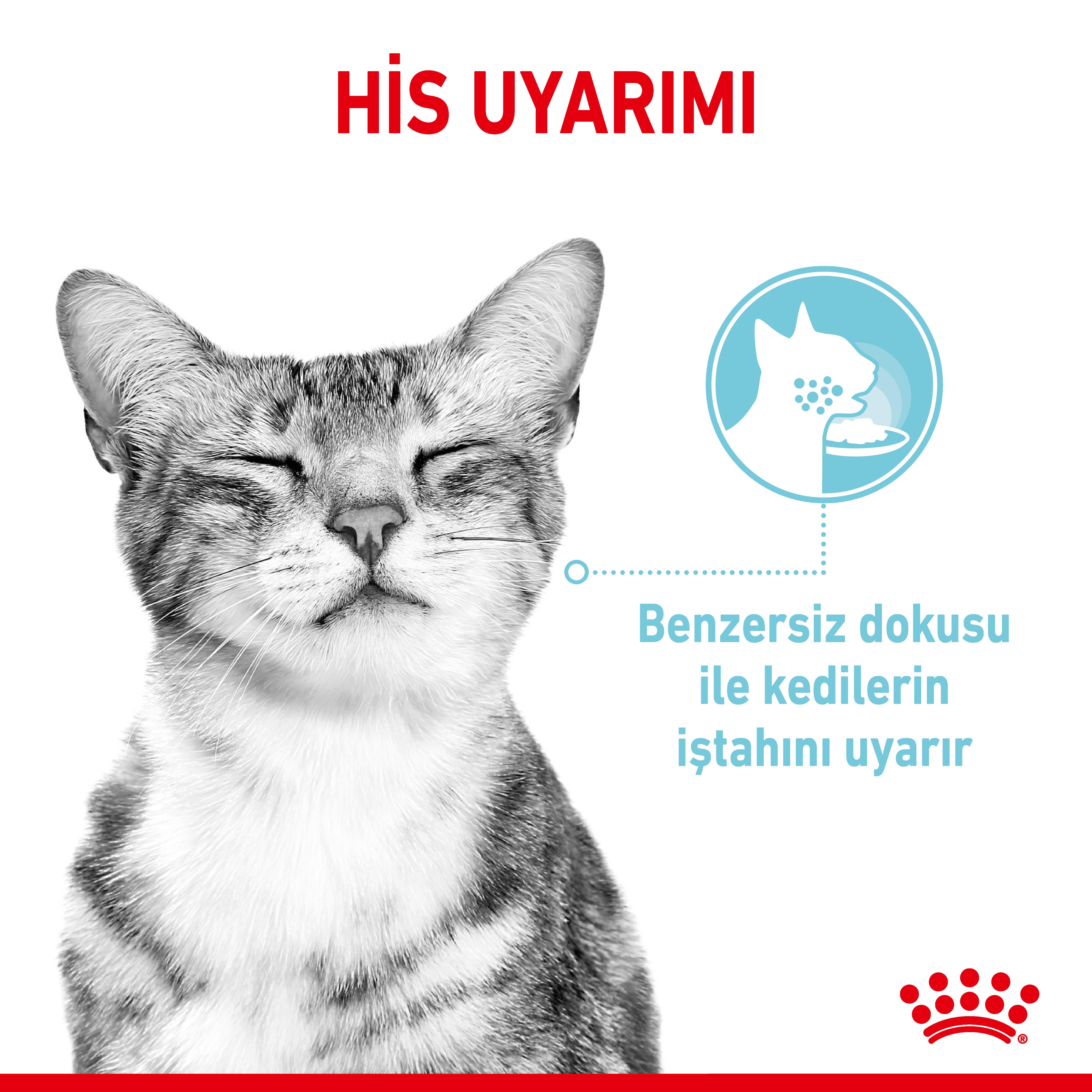 Royal Canin Sensory Feel Gravy Pouch Yetişkin Kedi Yaş Maması 85 Gr