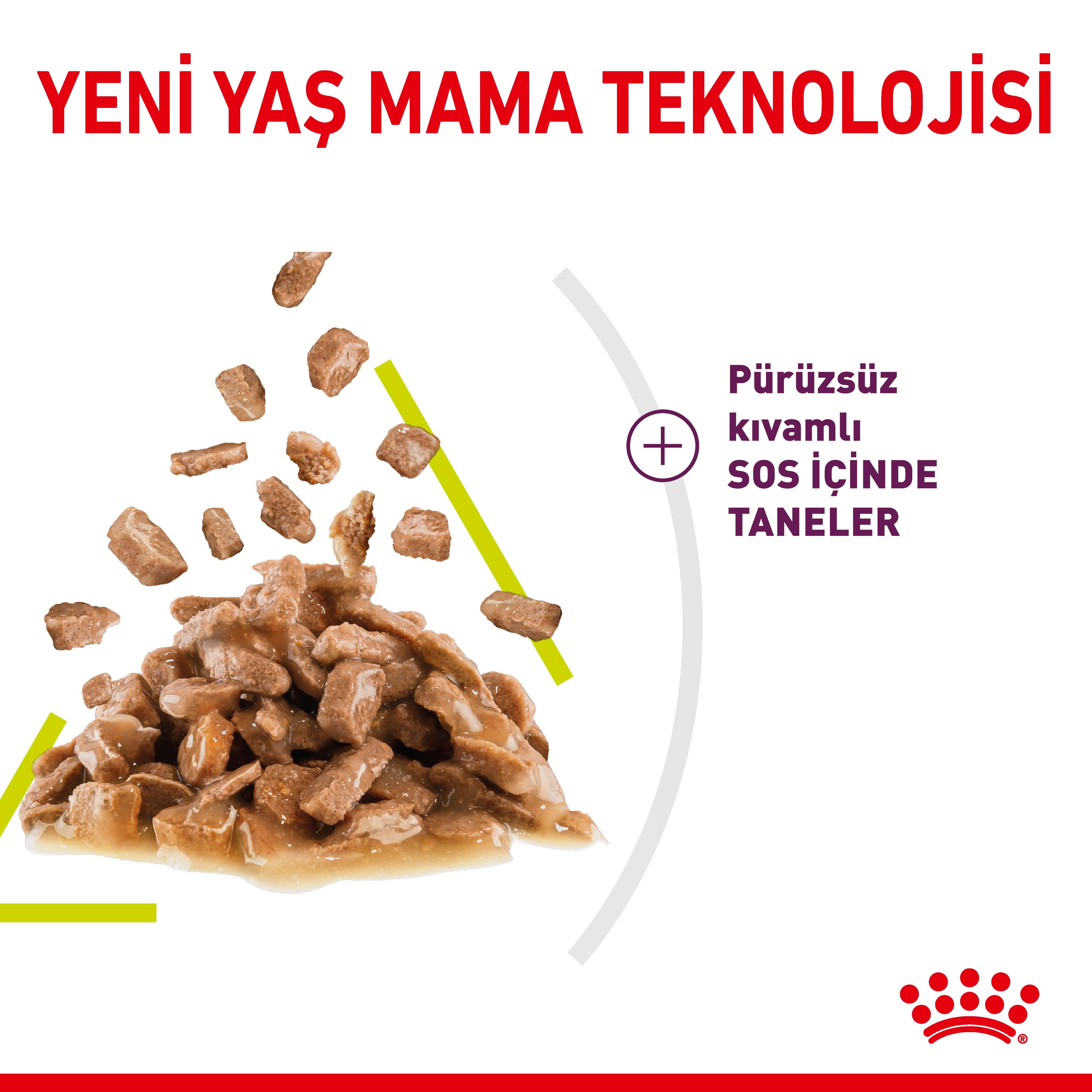 Royal Canin Sensory Smell Jelly Pouch Yetişkin Kedi Yaş Maması 85 Gr
