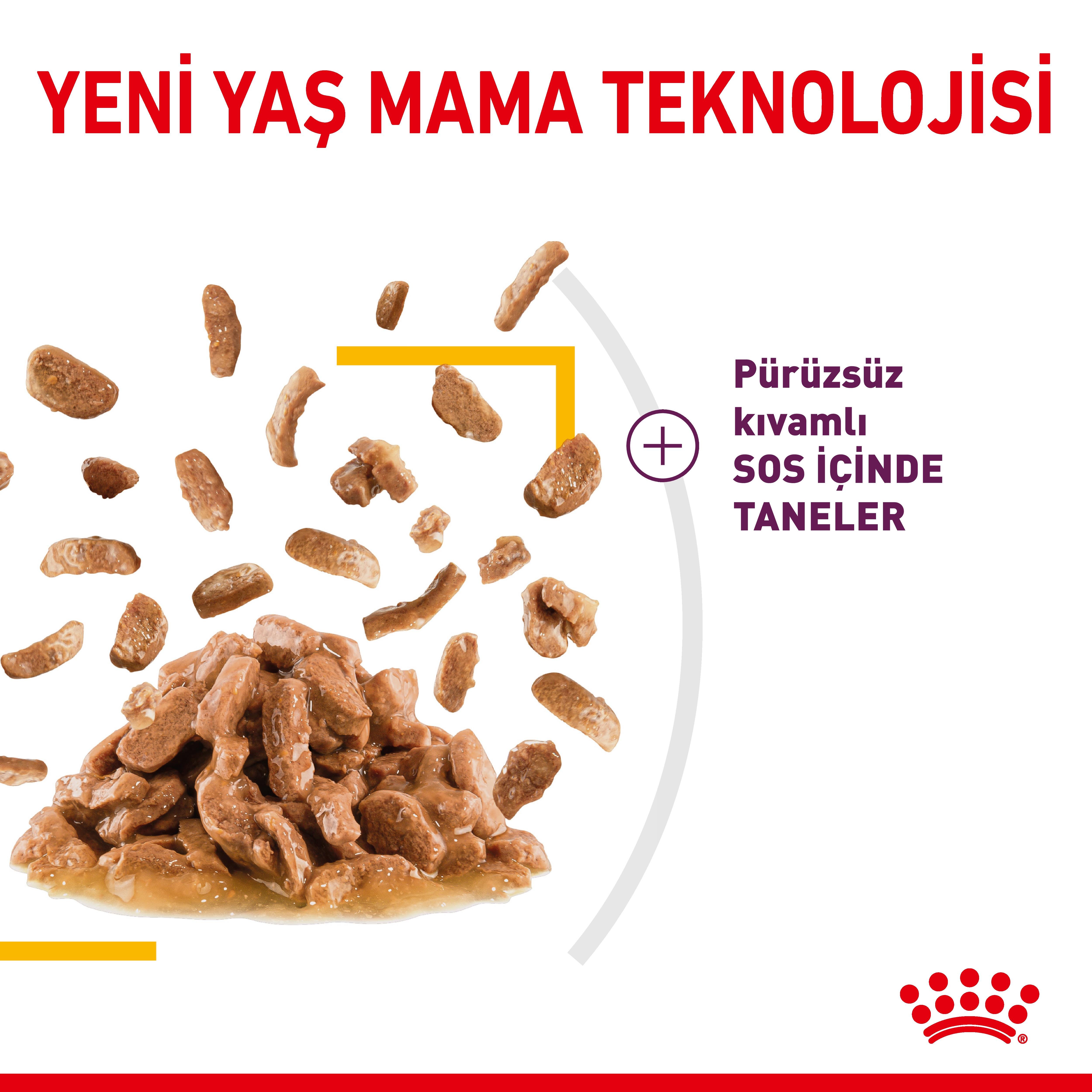 Royal Canin Sensory Taste Jelly Yetişkin Kedi Yaş Maması 85 Gr