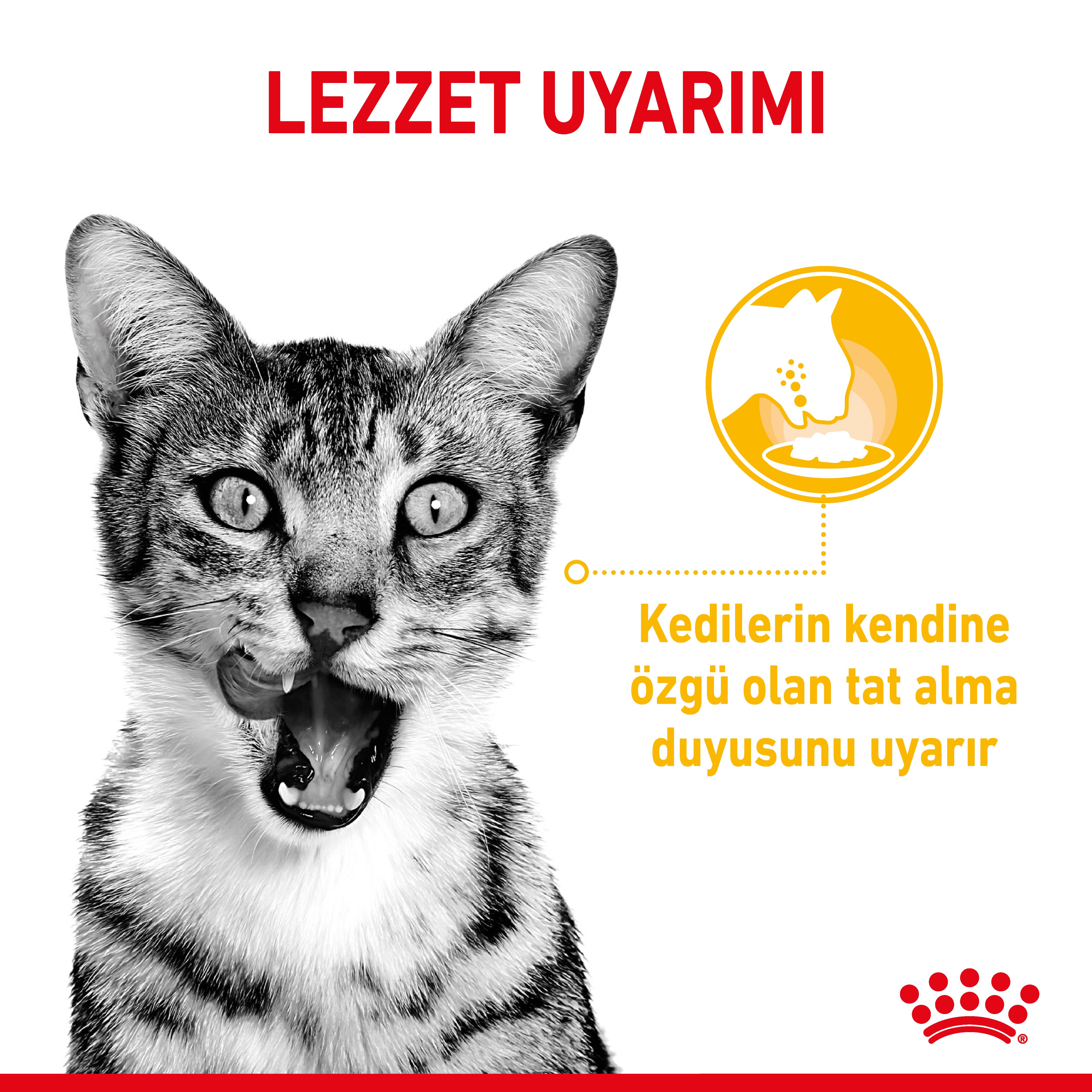 Royal Canin Sensory Taste Jelly Yetişkin Kedi Yaş Maması 85 Gr