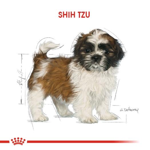 Royal Canin Shih Tzu Puppy Yavru Köpek Maması 1.5 Kg