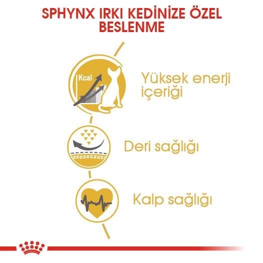 Royal Canin Sphynx Yetişkin Kedi Maması 2 Kg